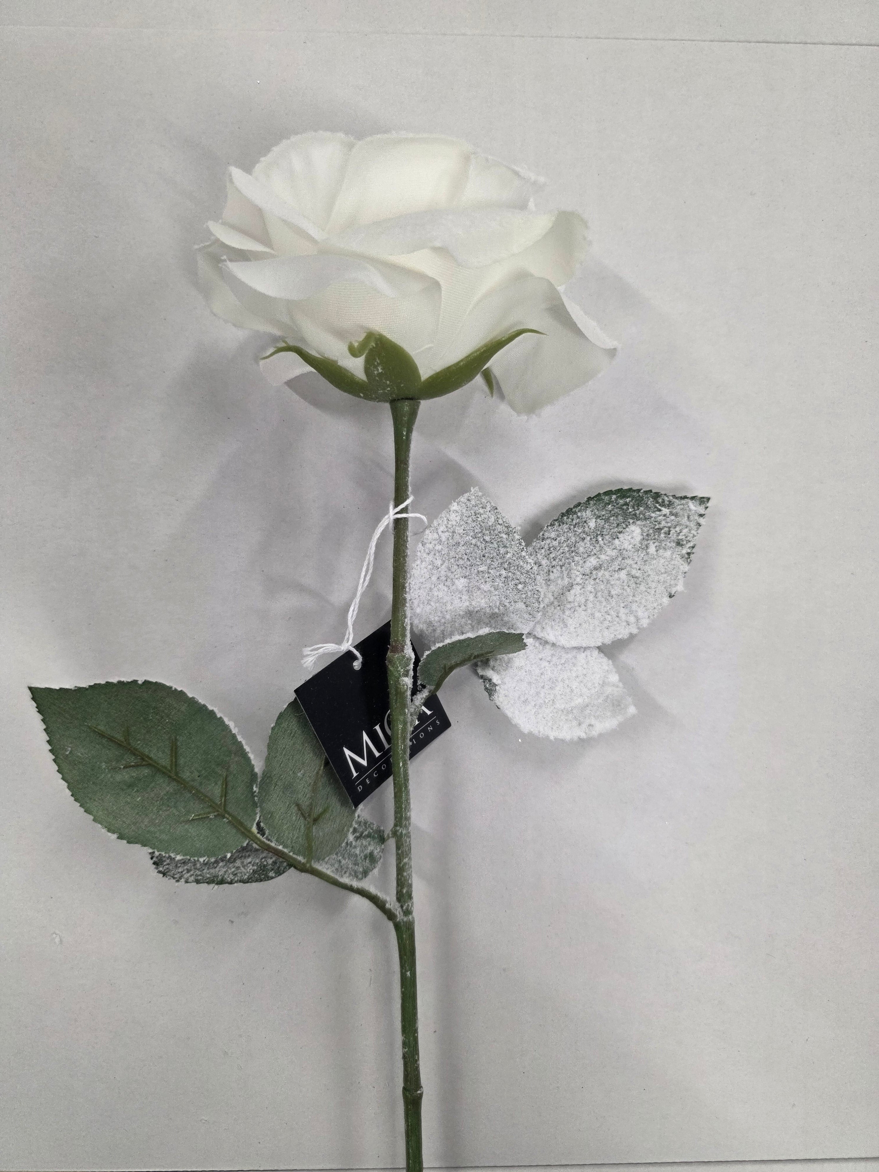 Rose White 65cm