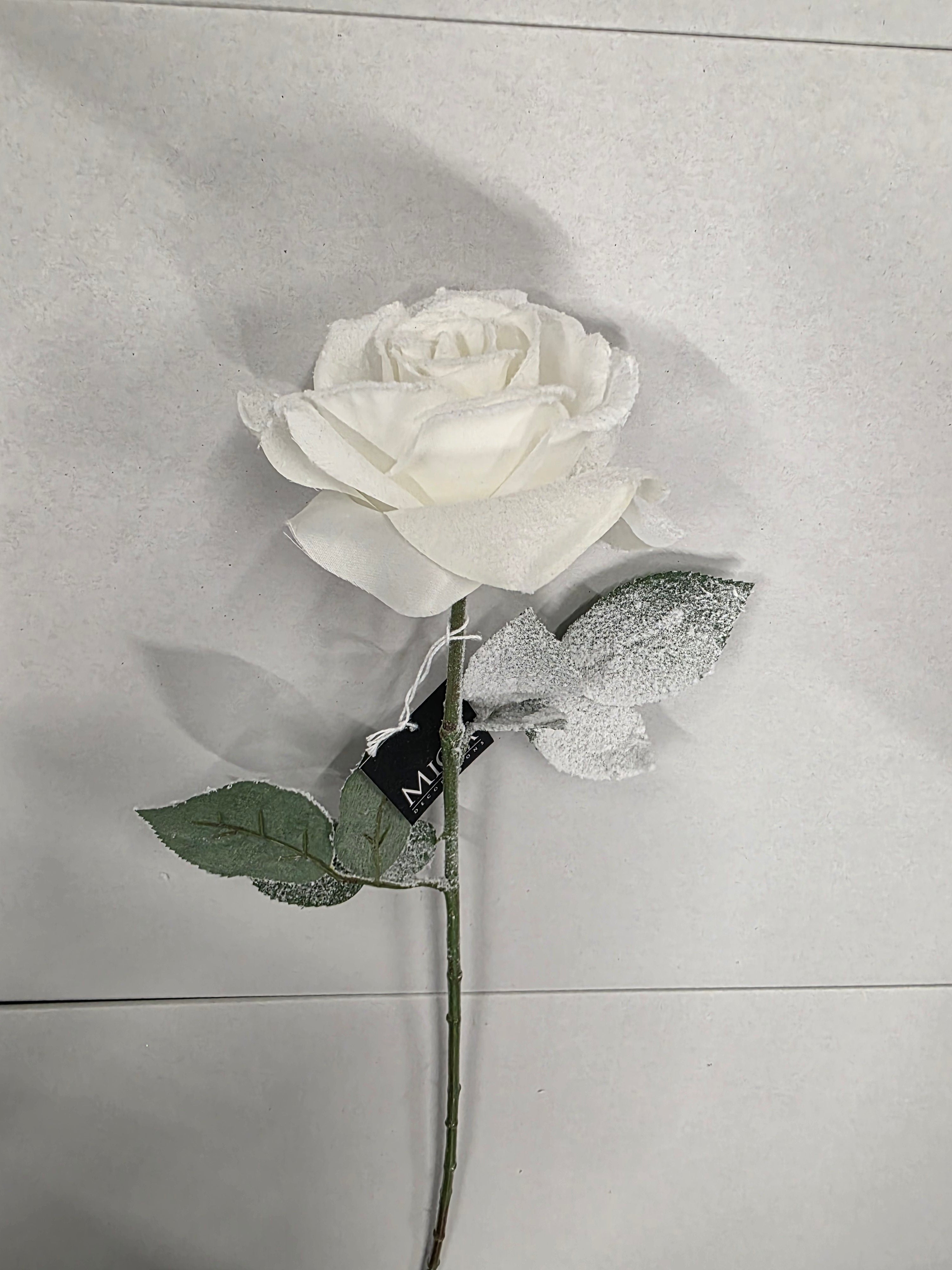 Rose White 65cm