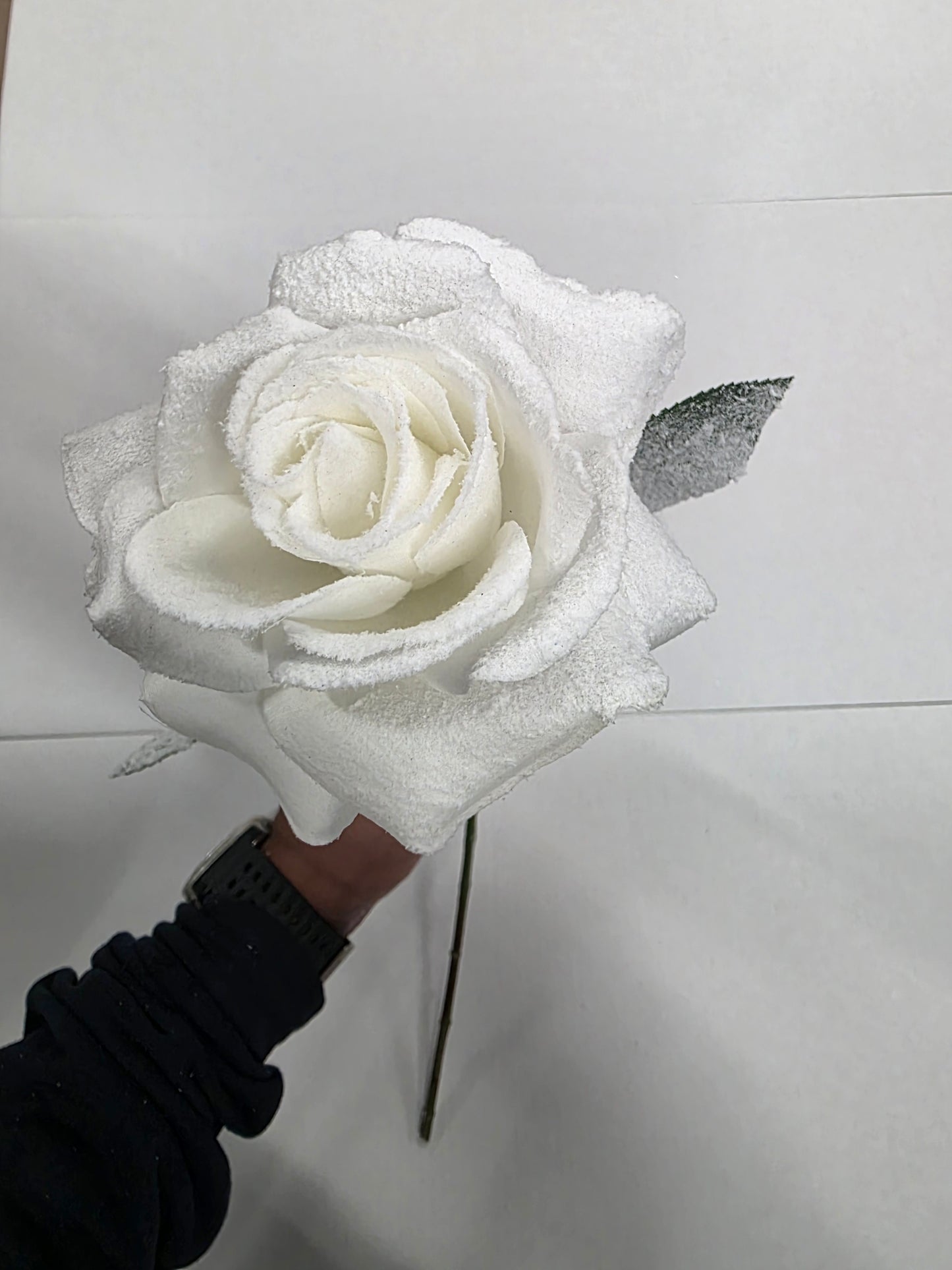 Rose White 65cm