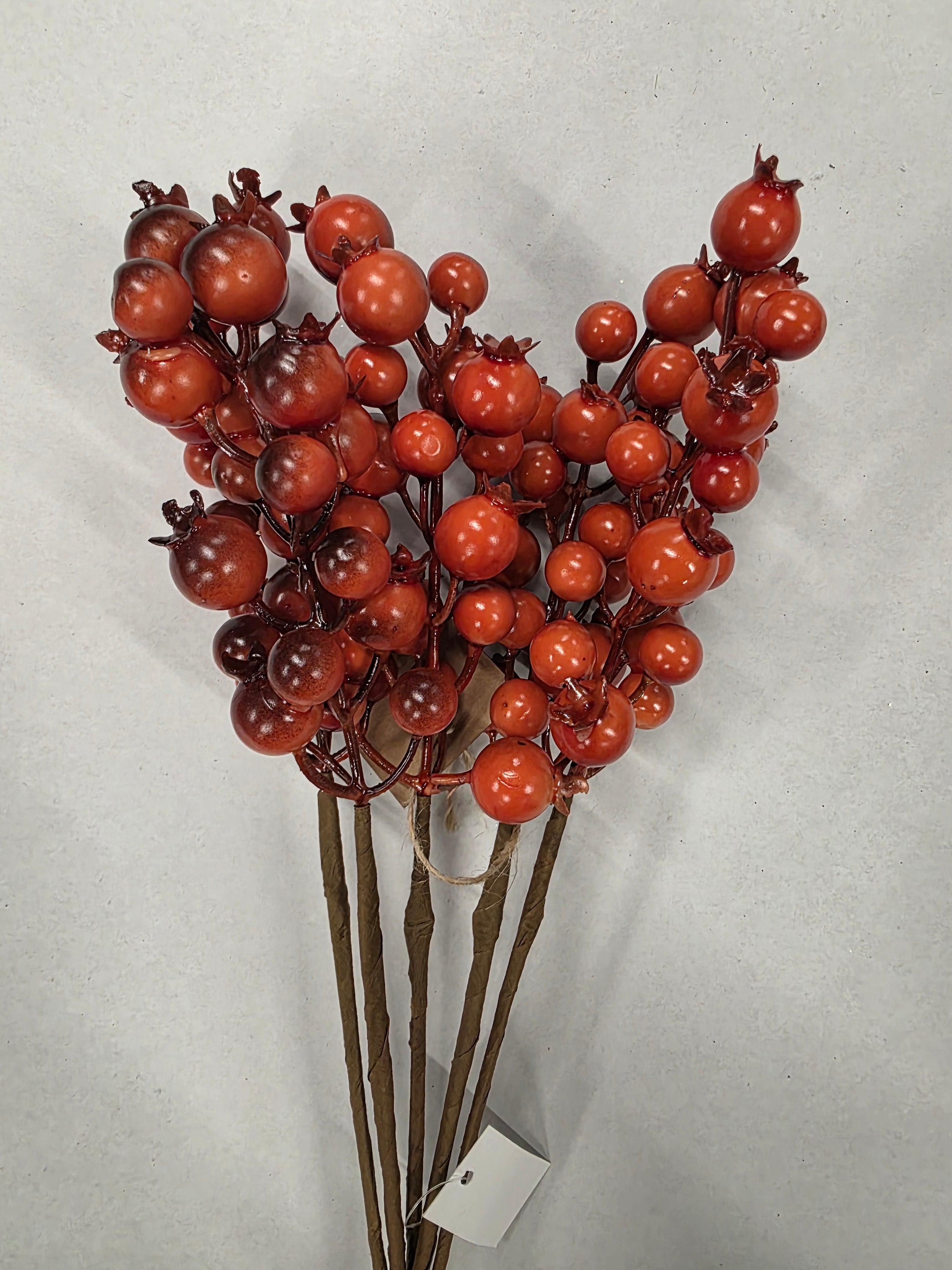 Rosehip X5 Bundle Dark Red 55cm