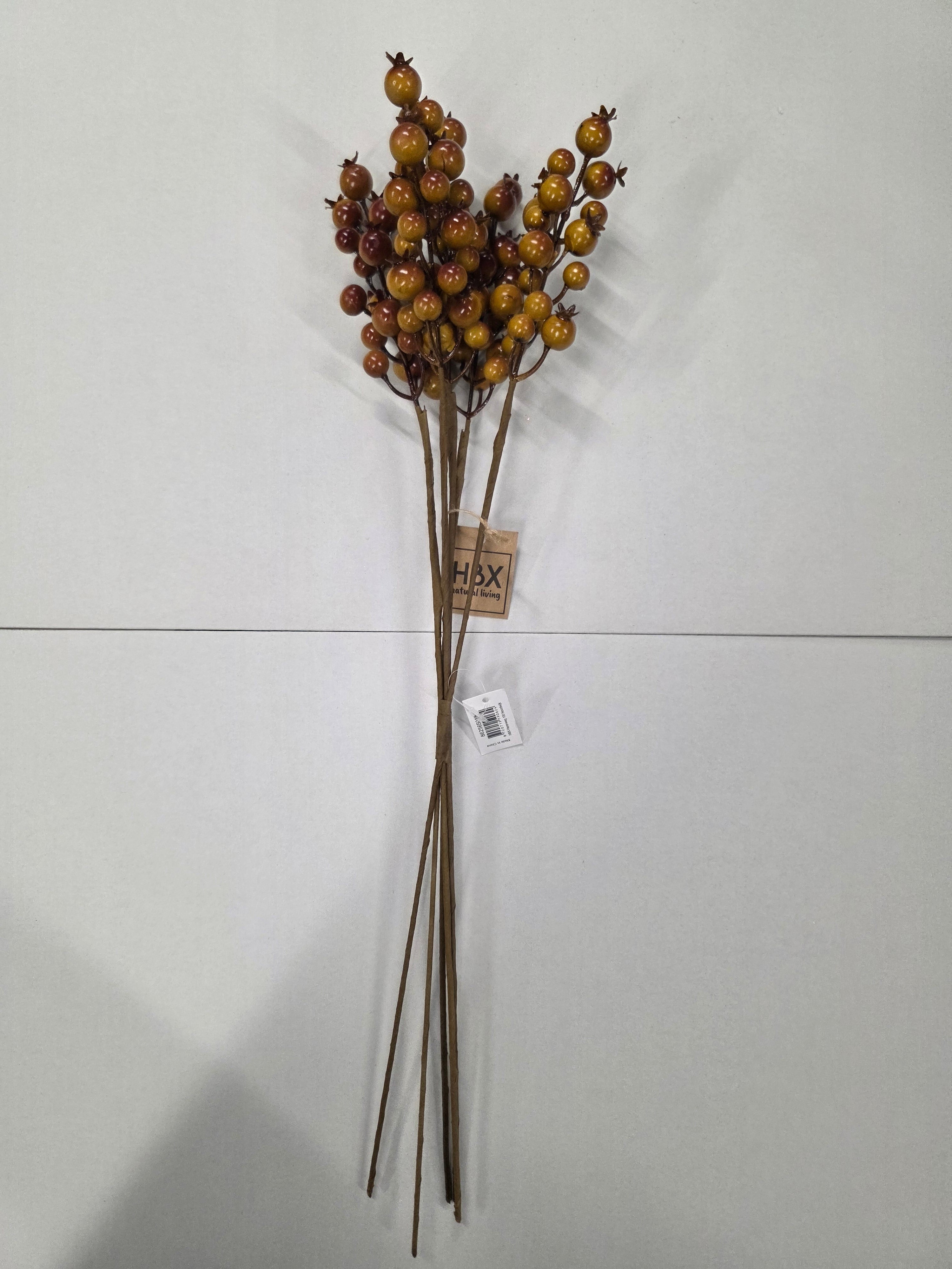 Rosehip X5 Bundle Green 55cm