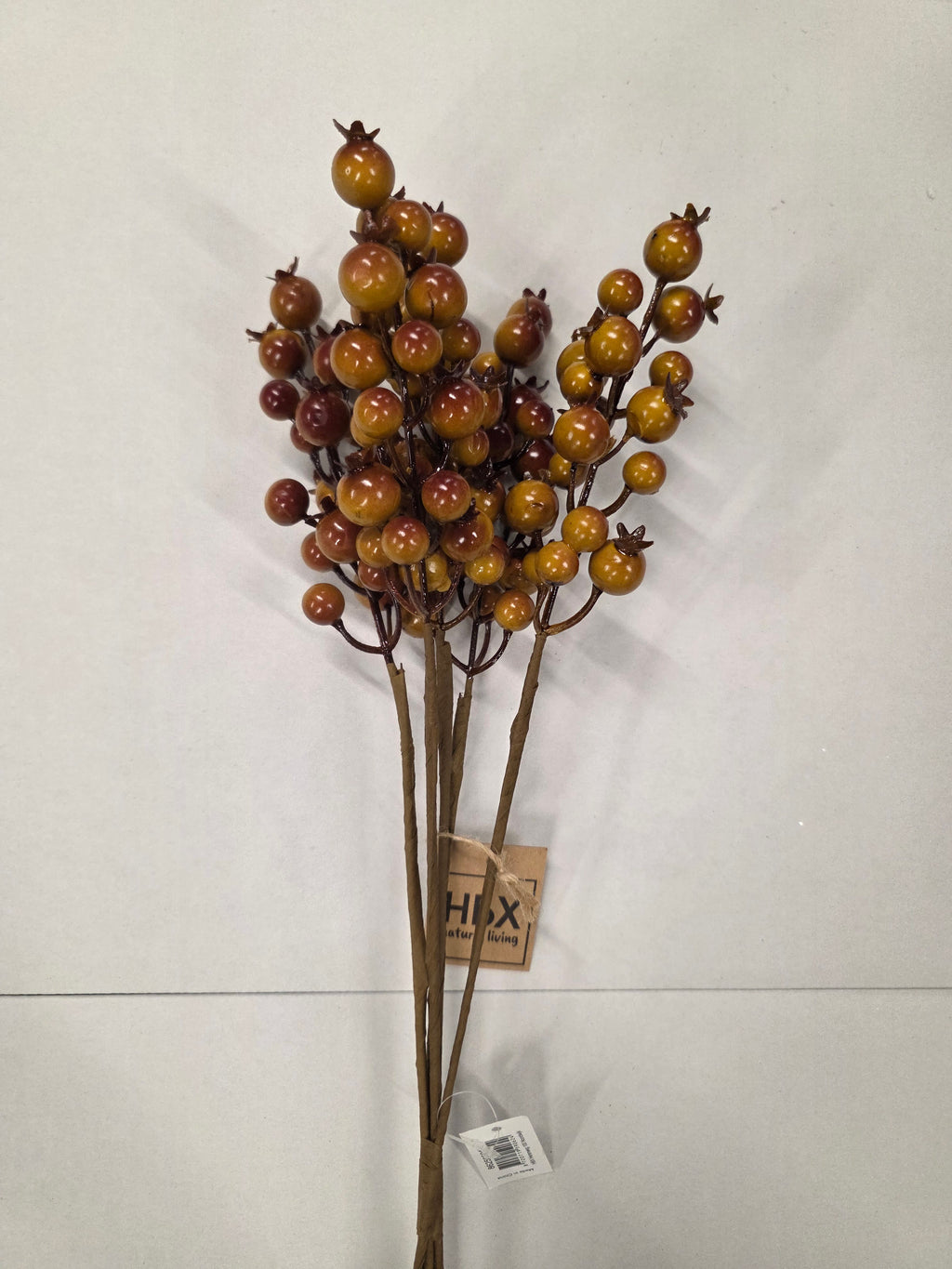 Rosehip X5 Bundle Green 55cm