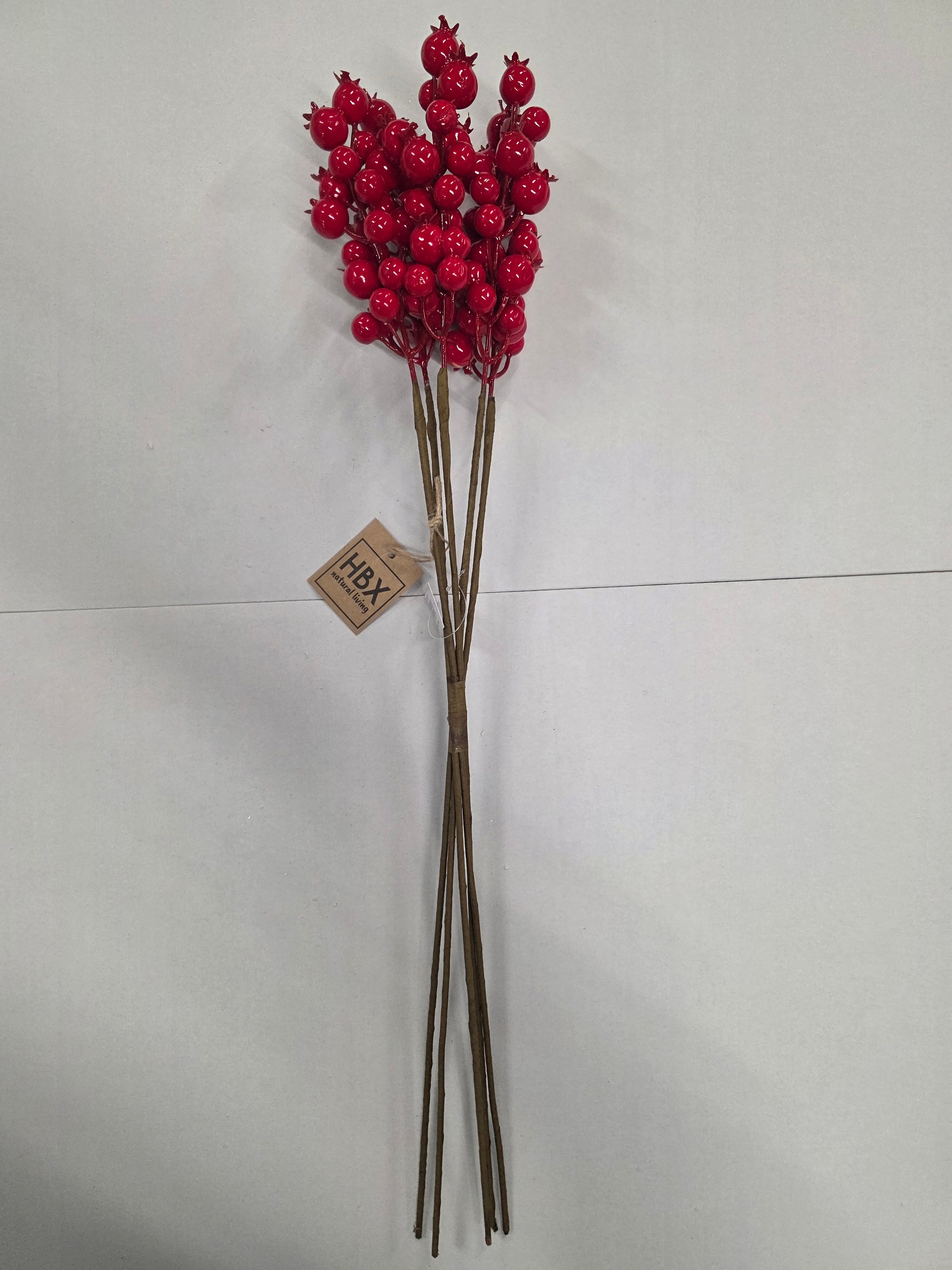 Rosehip X5 Bundle Red 55cm