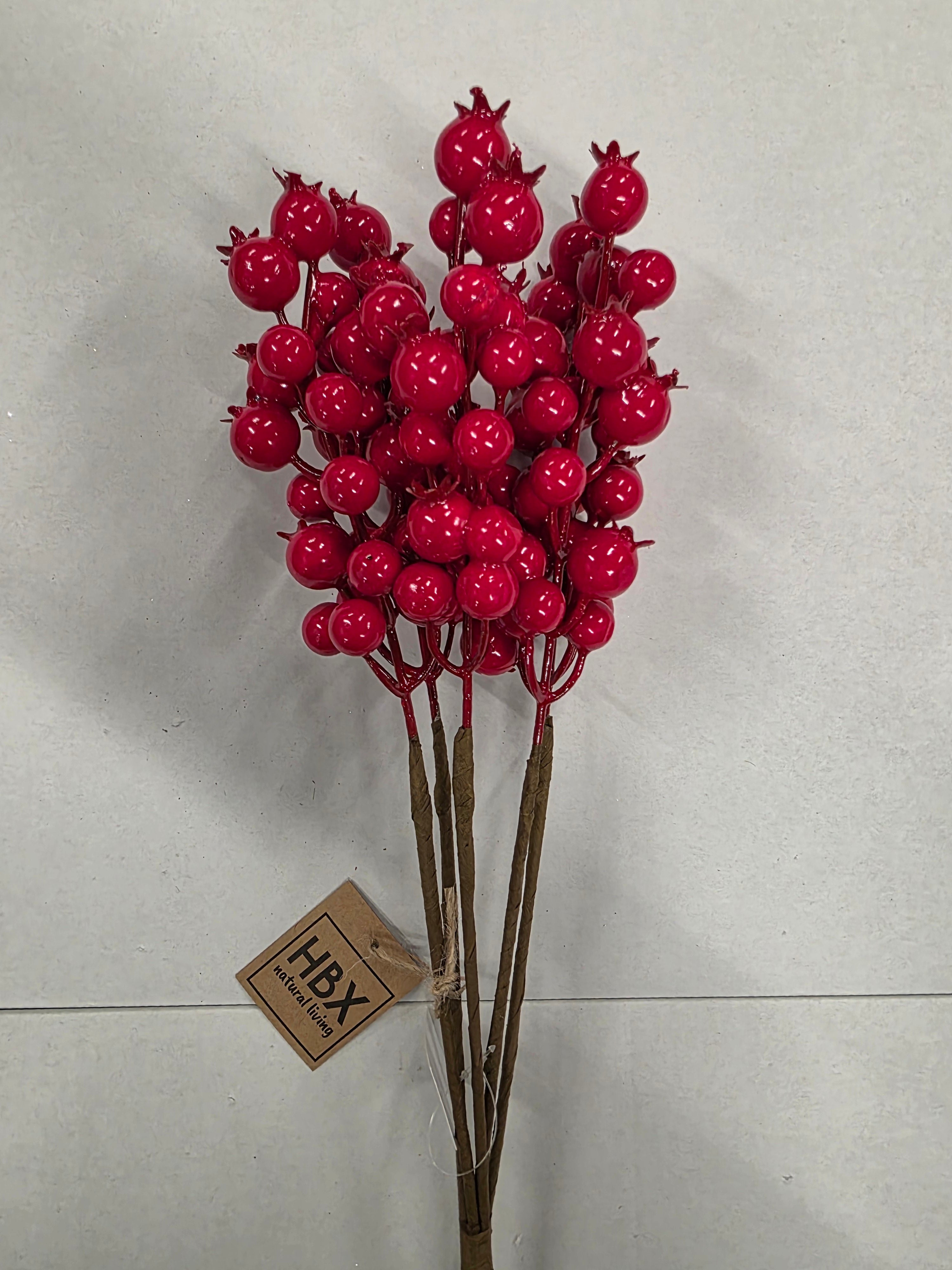 Rosehip X5 Bundle Red 55cm
