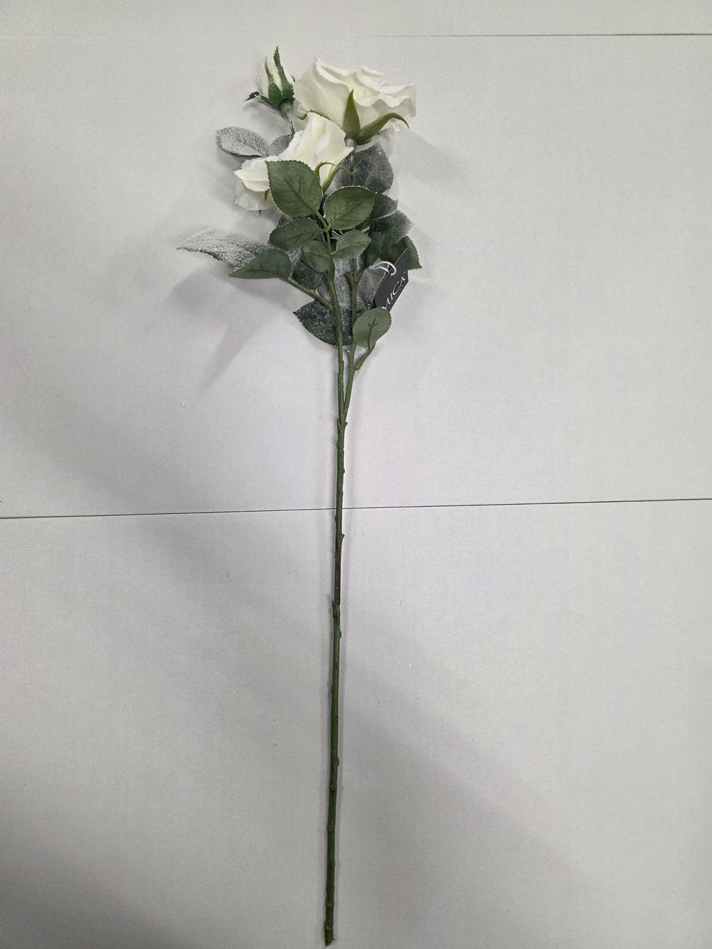 Tea Rose White 69cm