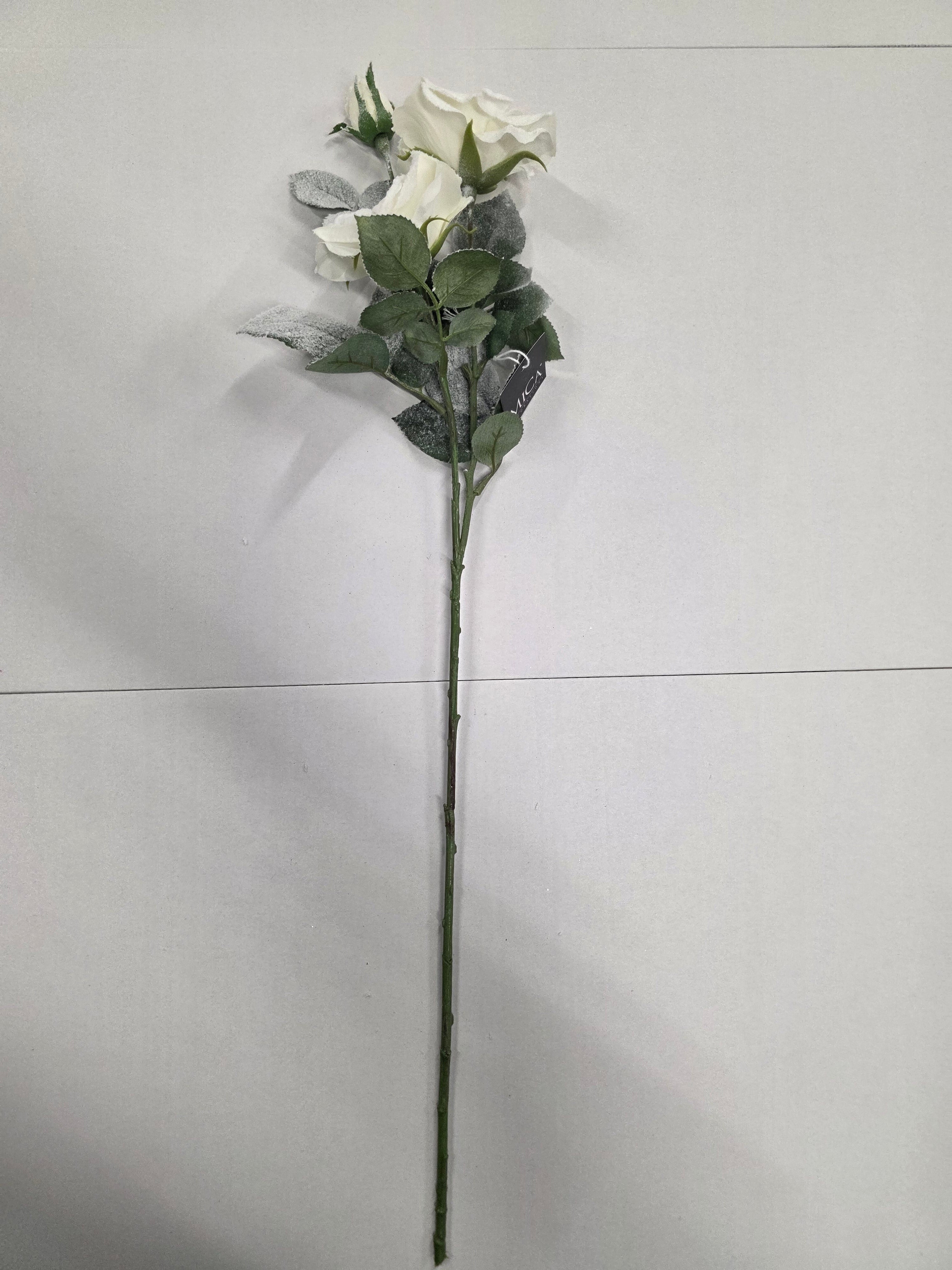Tea Rose White 69cm