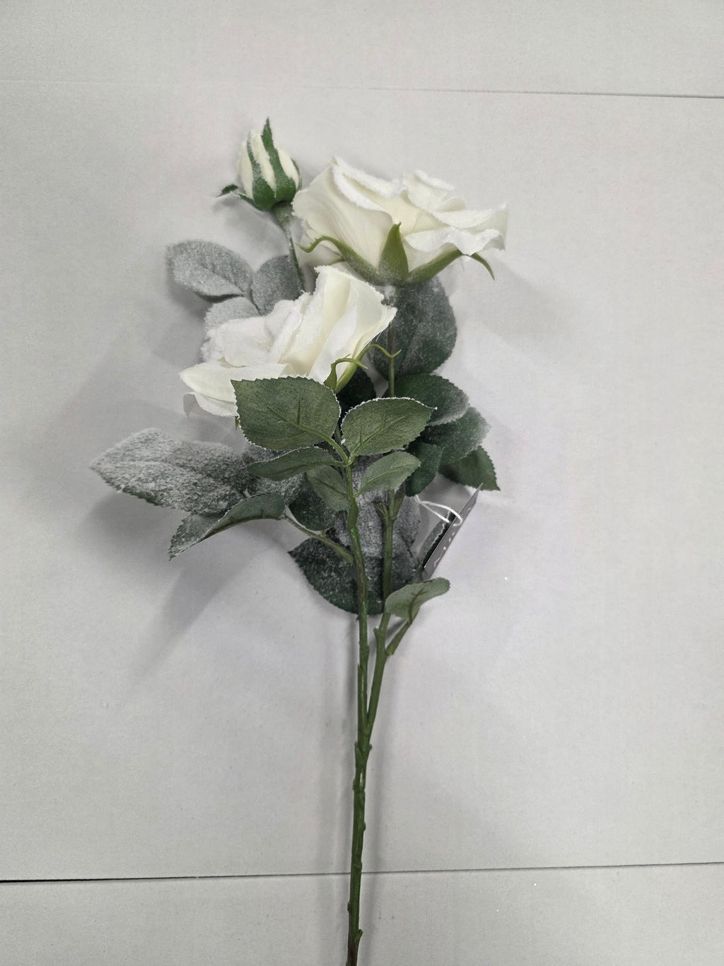 Tea Rose White 69cm