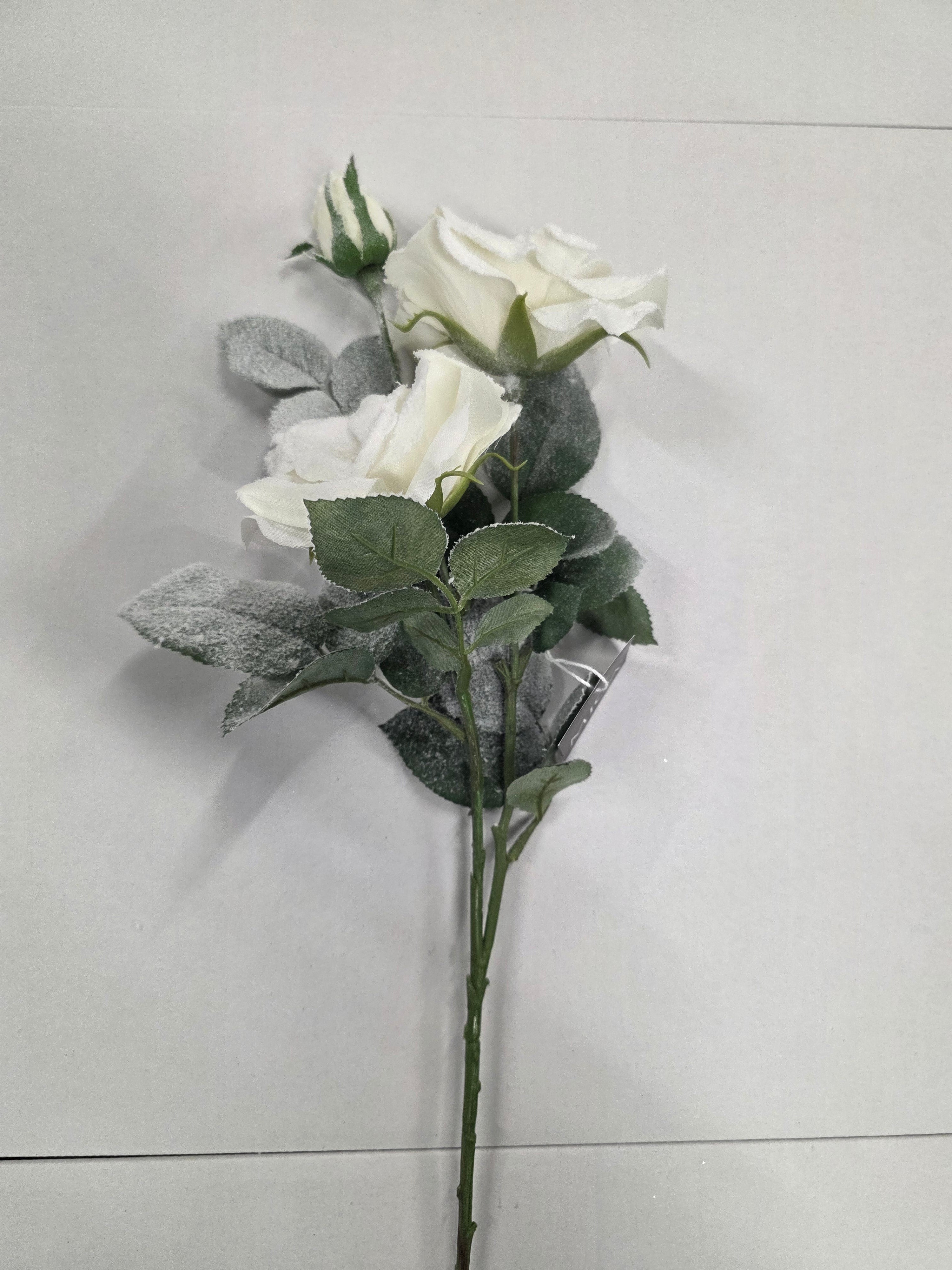 Tea Rose White 69cm