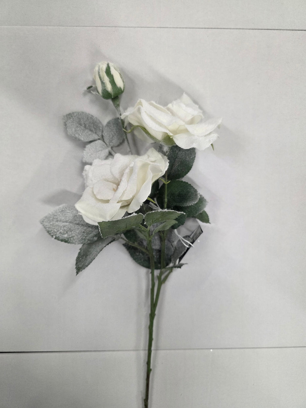 Tea Rose White 69cm