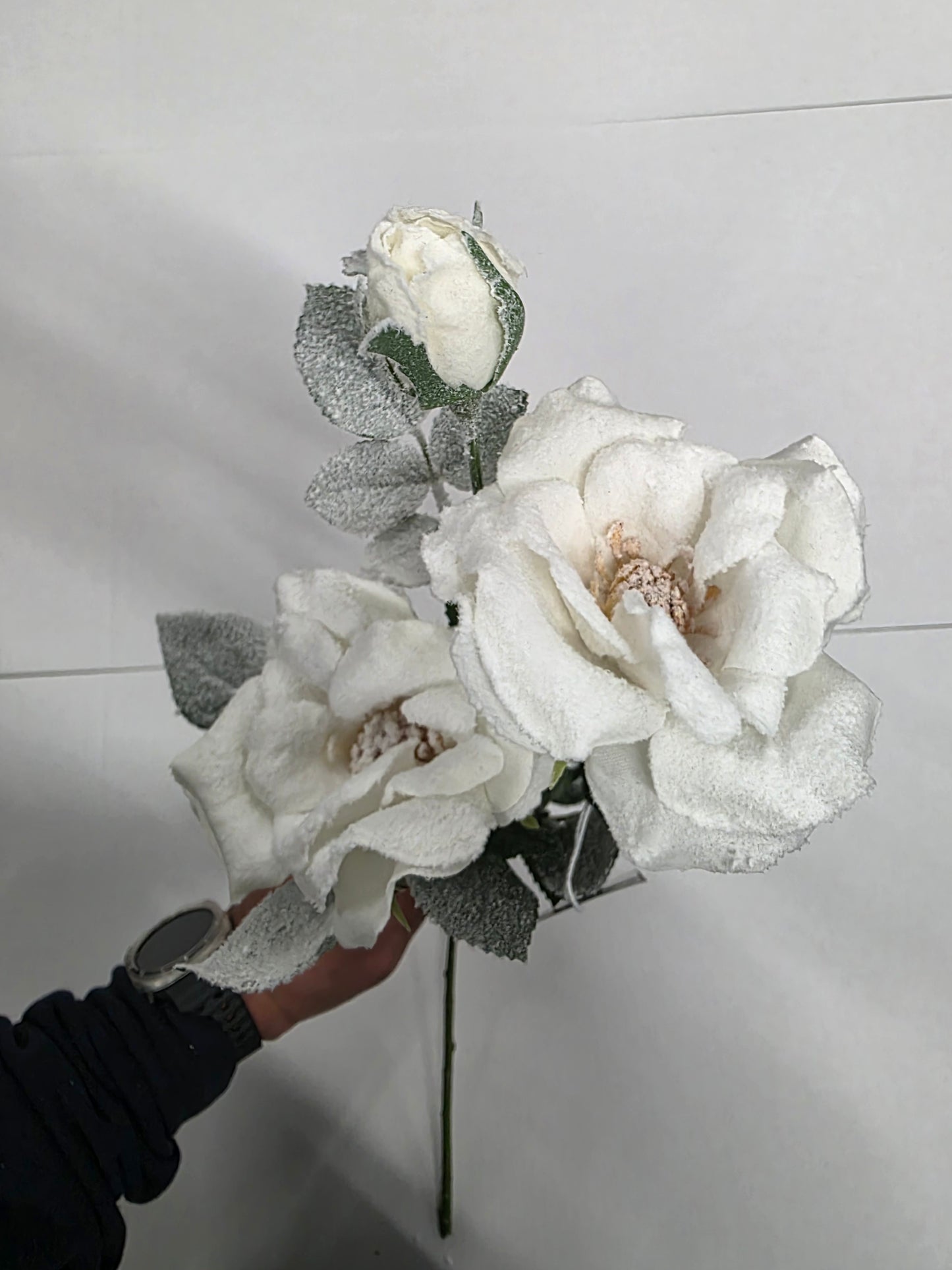 Tea Rose White 69cm