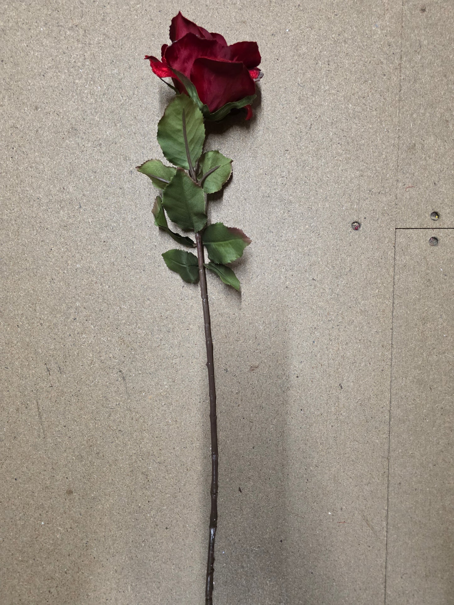 Yuletide Rose Stem Red 61cm