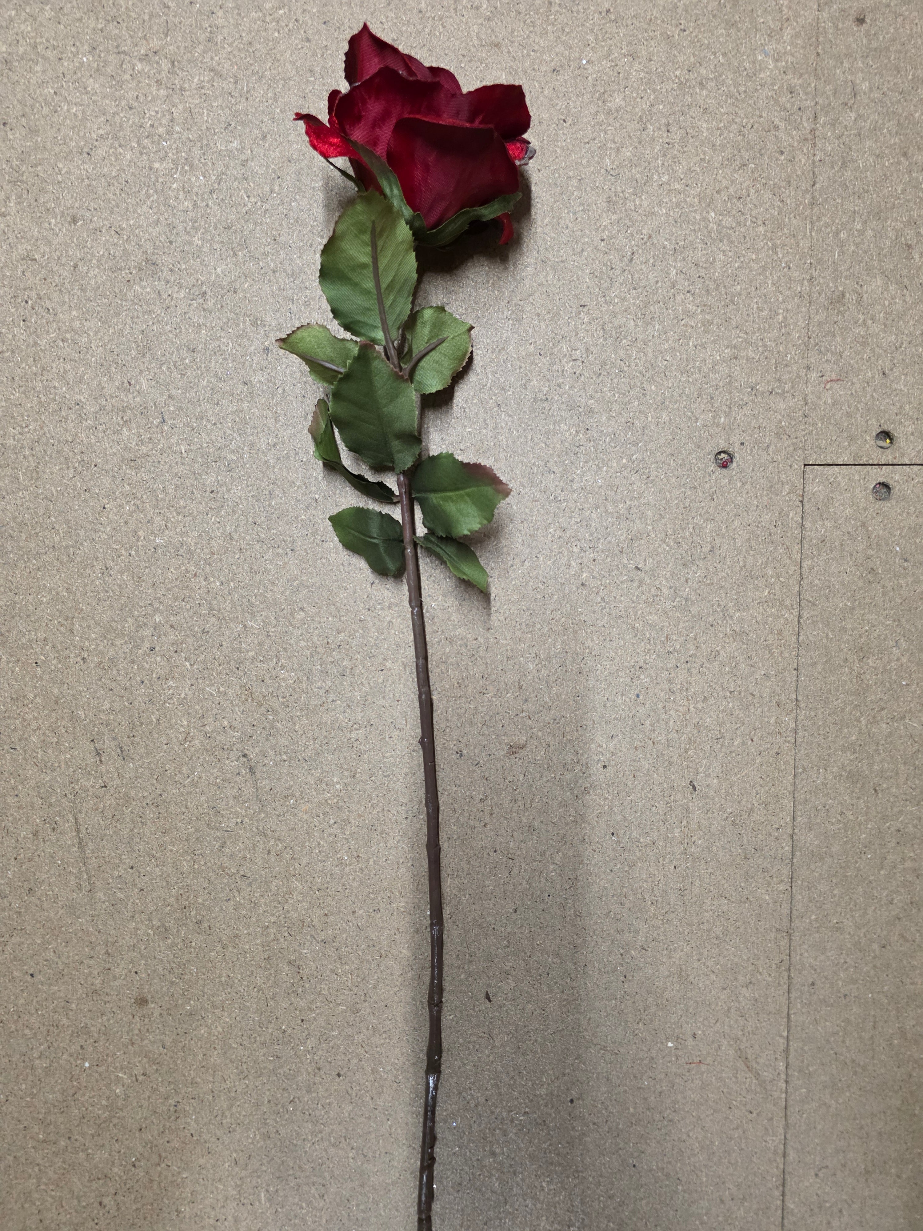Yuletide Rose Stem Red 61cm