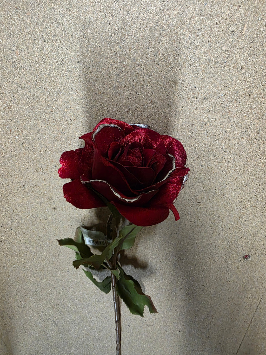 Yuletide Rose Stem Red 61cm