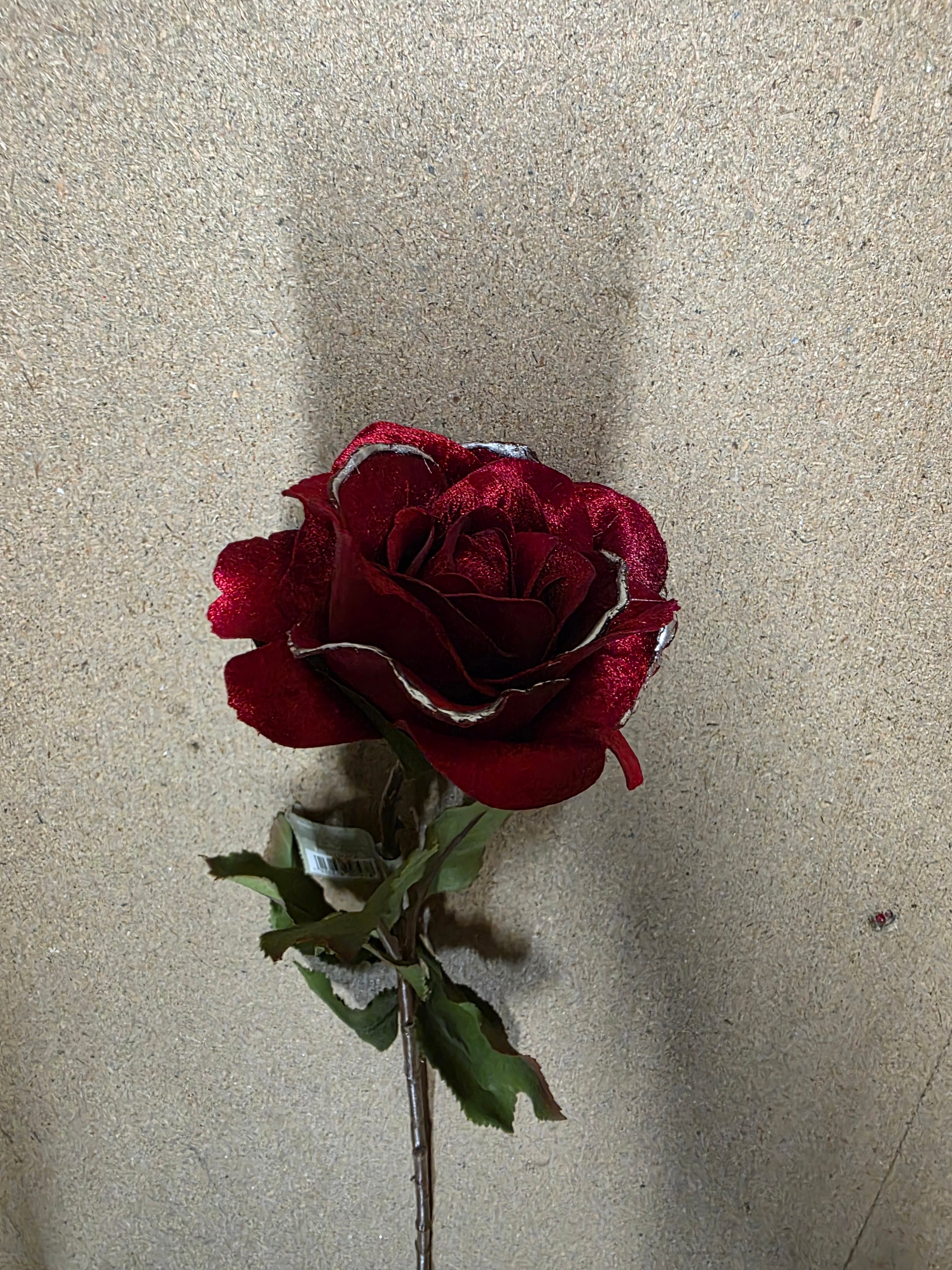 Yuletide Rose Stem Red 61cm