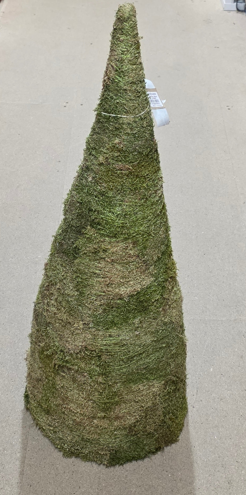 Cone Flat Moss 100x35cm