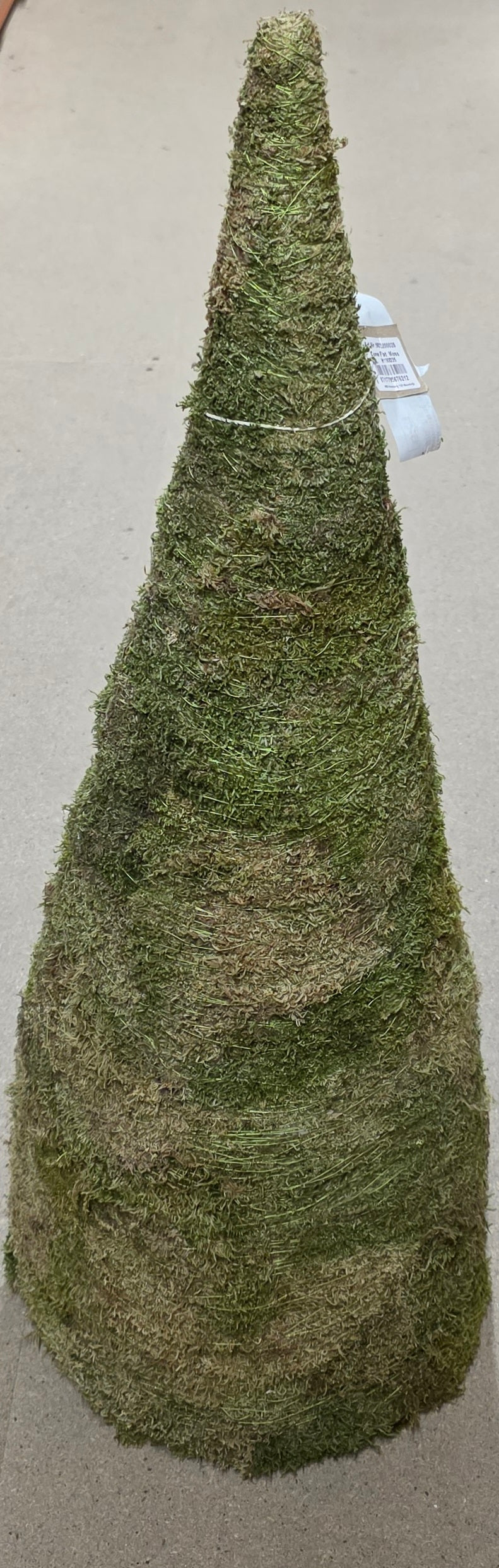 Cone Flat Moss 100x35cm