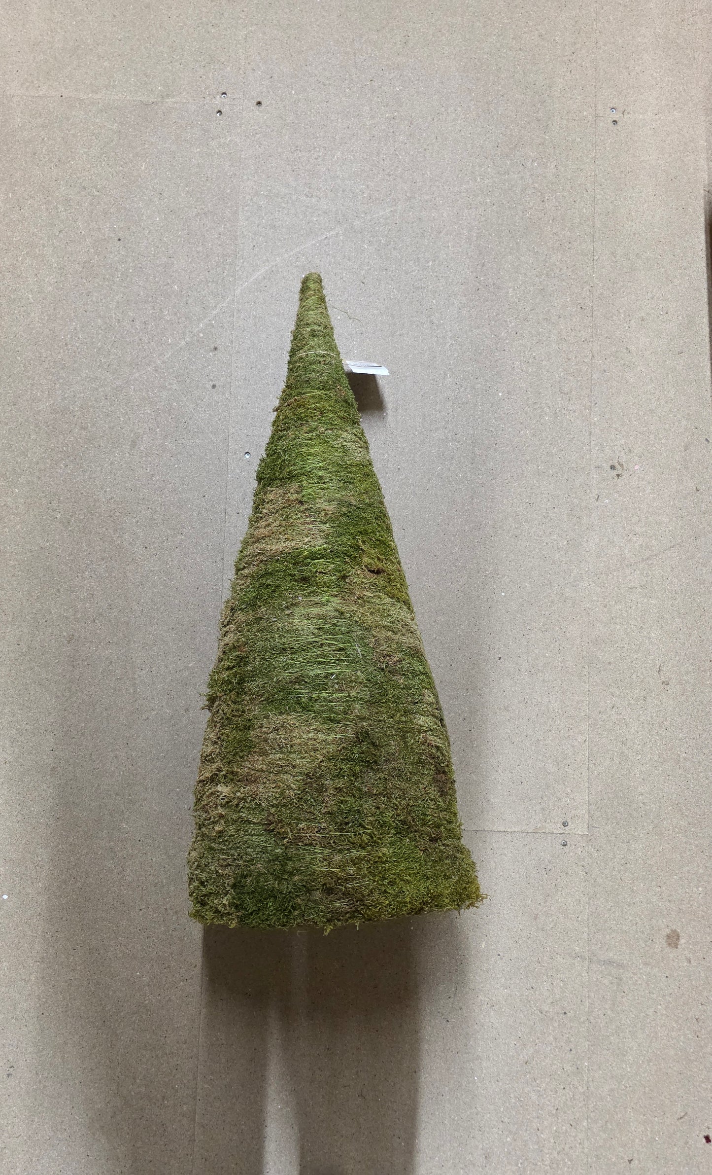 Cone Flat Moss 100x35cm