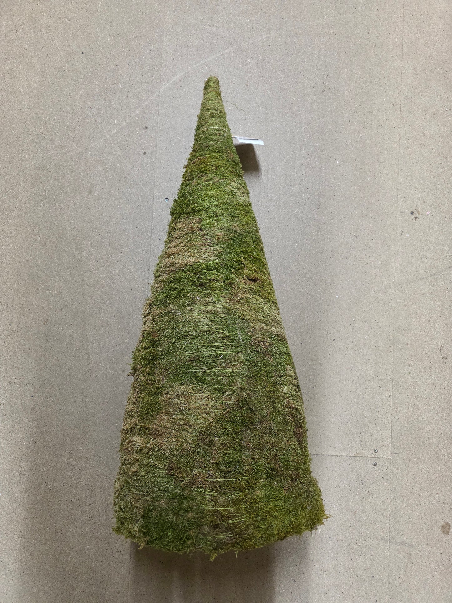 Cone Flat Moss 100x35cm