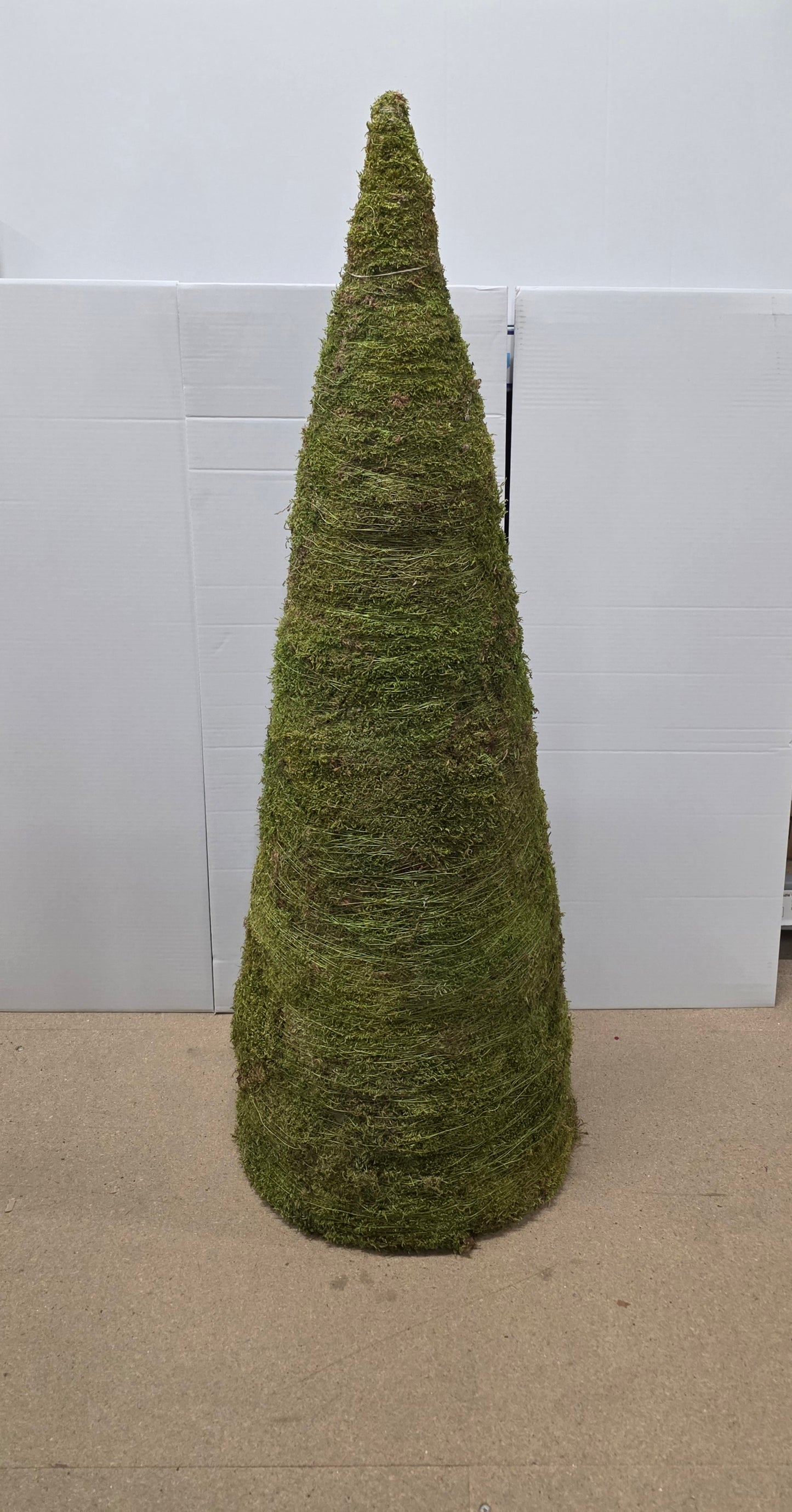 Cone Flat Moss 120x45cm