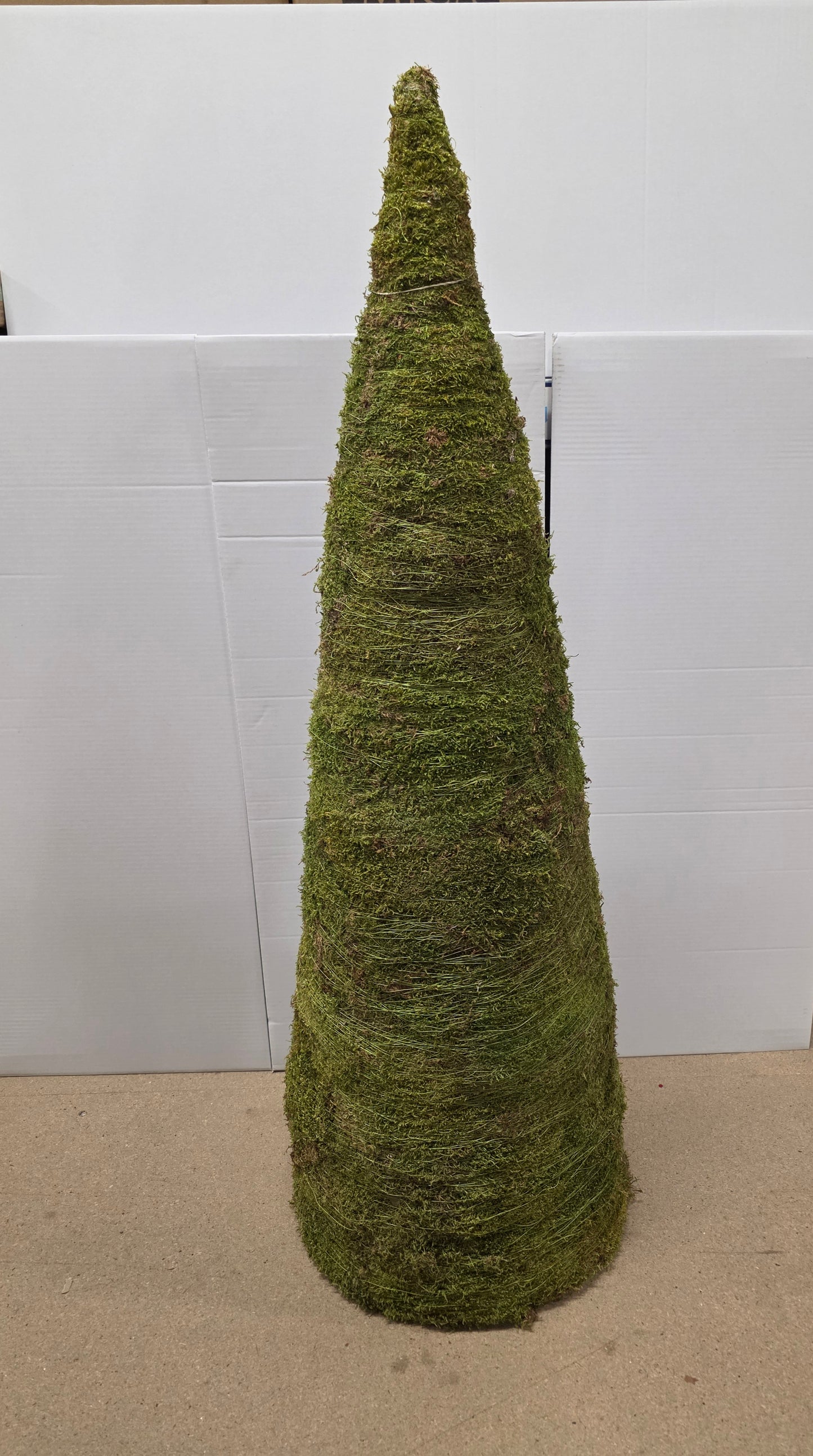 Cone Flat Moss 120x45cm