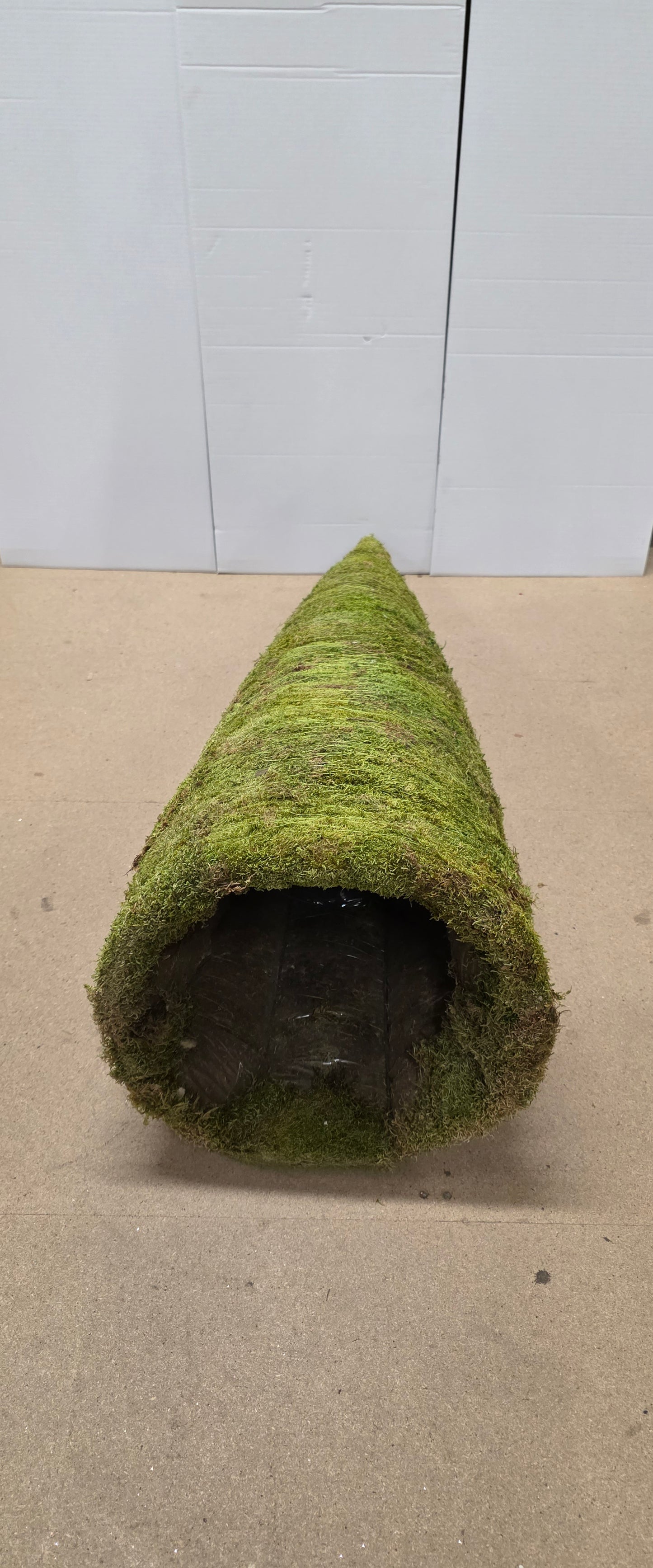 Cone Flat Moss 120x45cm