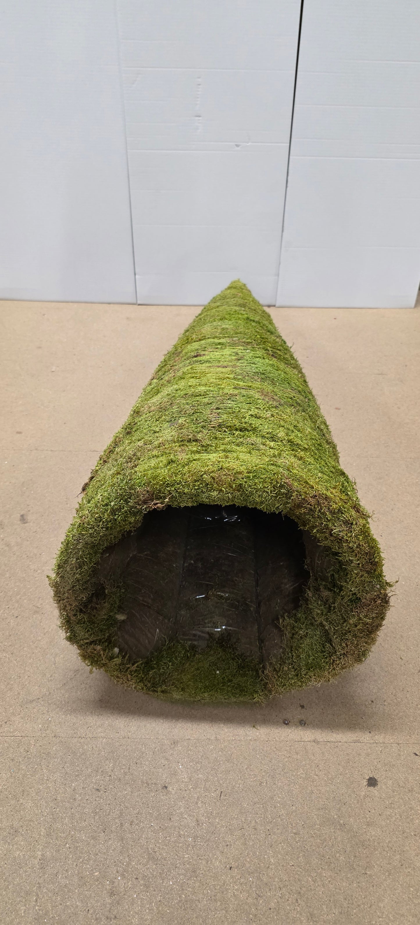 Cone Flat Moss 120x45cm