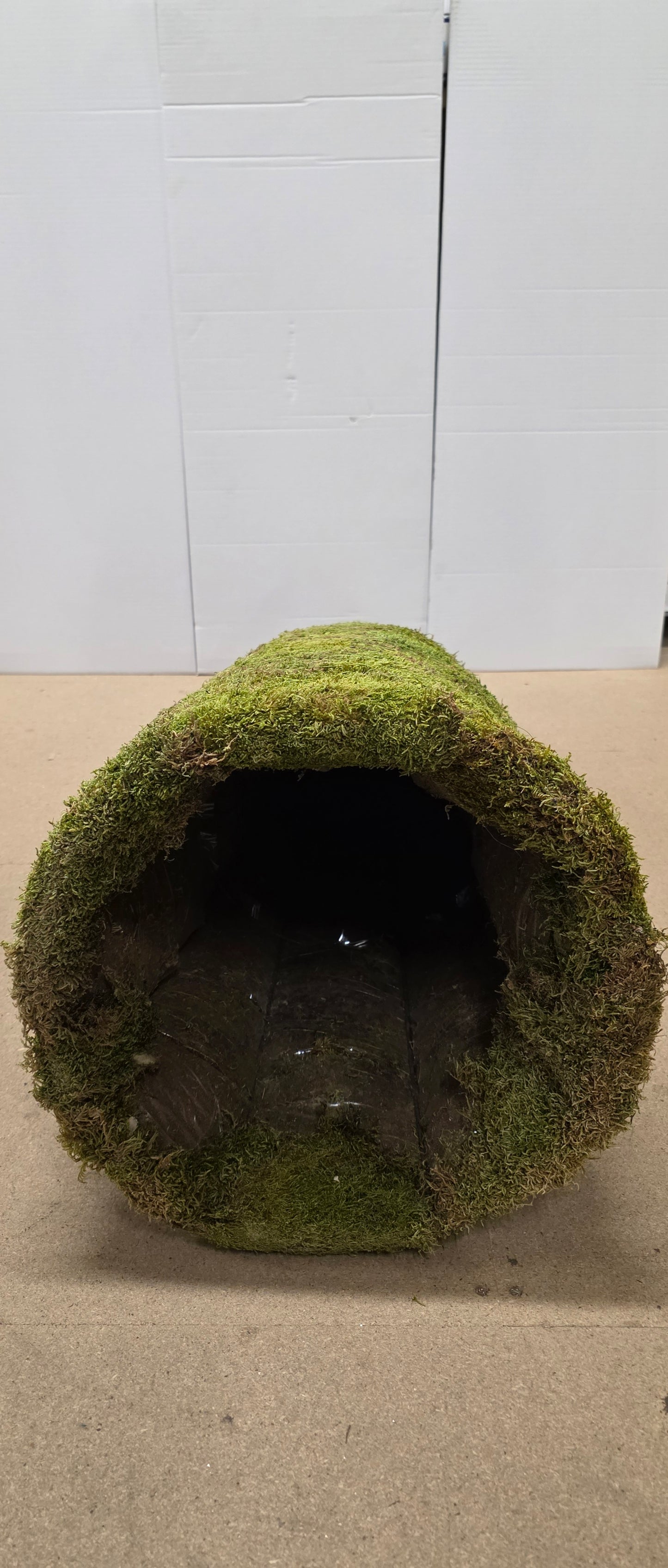 Cone Flat Moss 120x45cm
