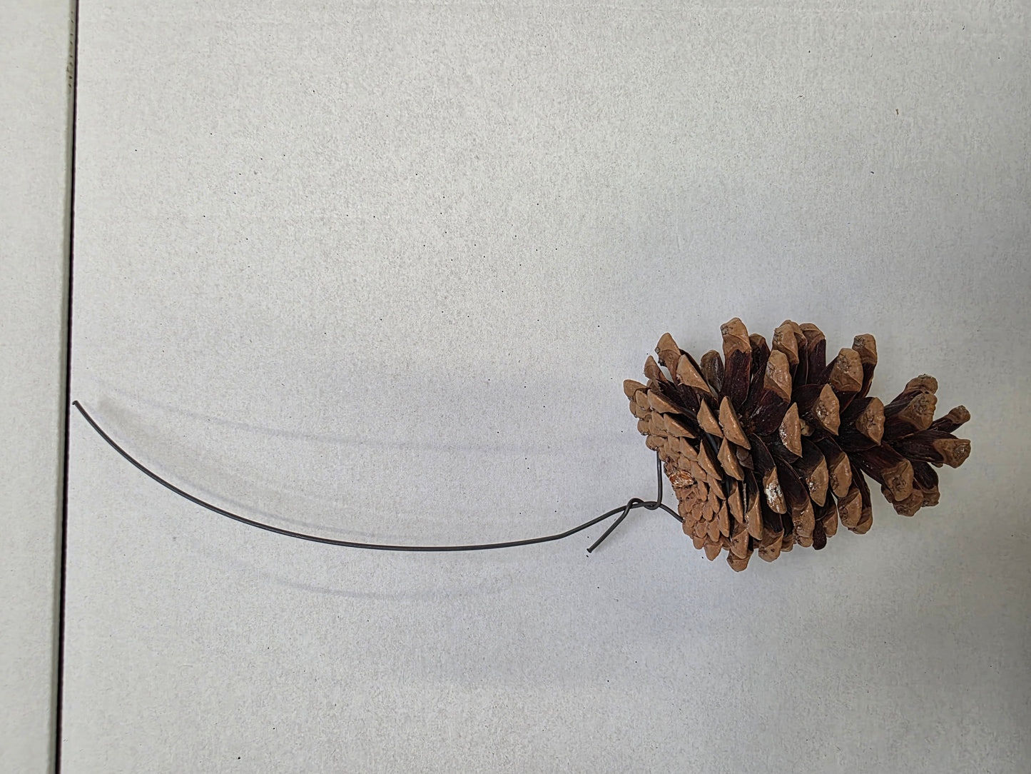 Dried Pine Cone Wired X150