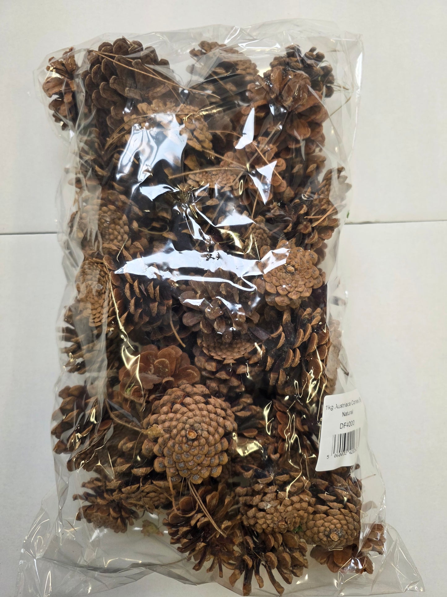 Dried Pine Cones 1kg