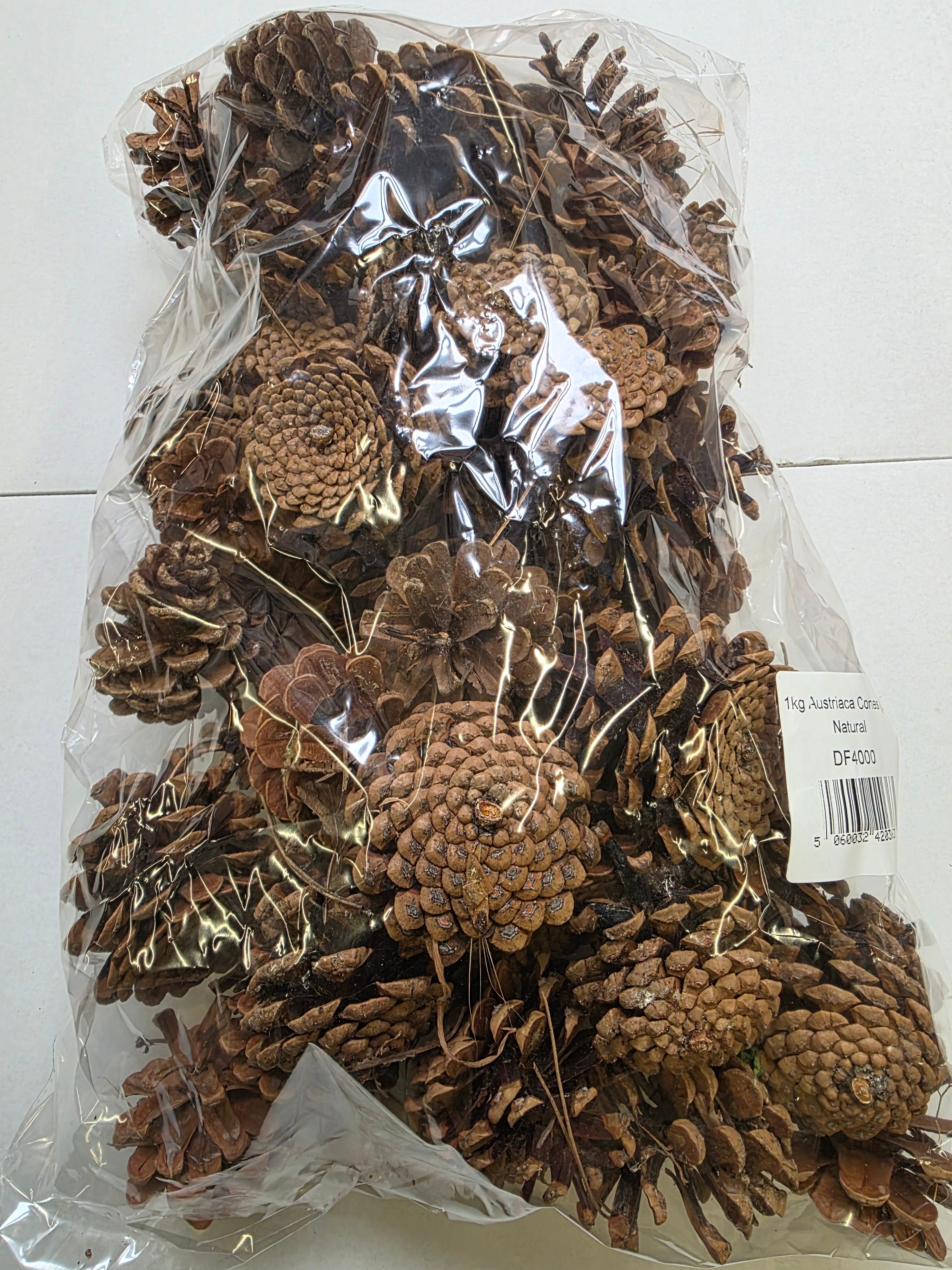 Dried Pine Cones 1kg