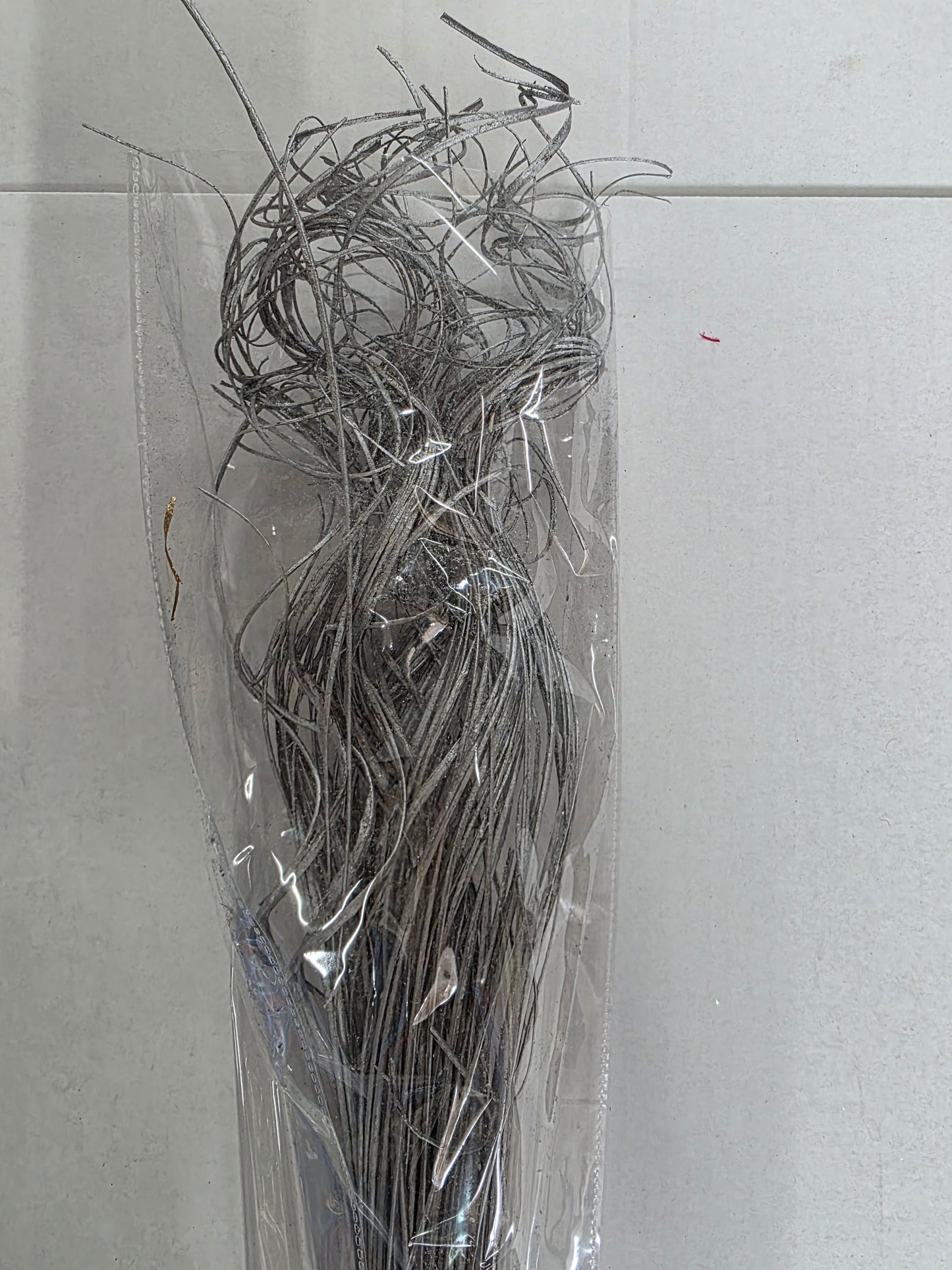 Dried Ting Ting Silver