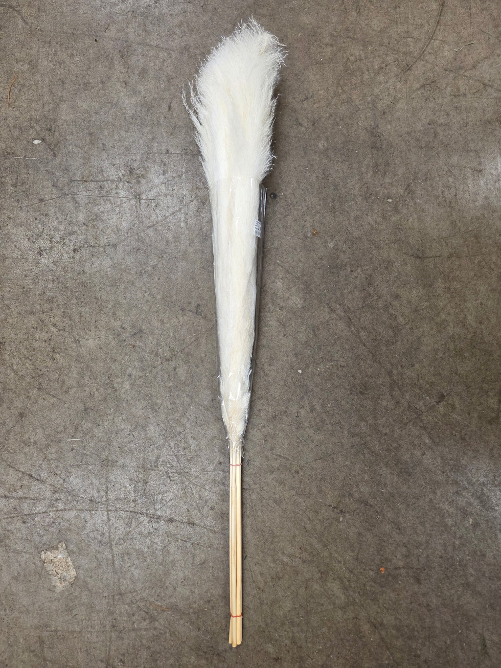 Crtoaderia Dadang Bleached