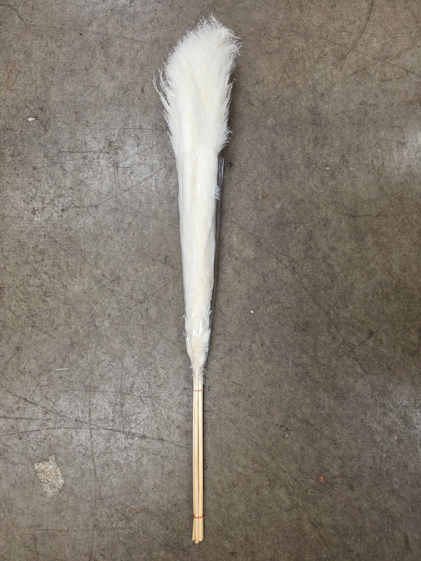 Crtoaderia Dadang Bleached