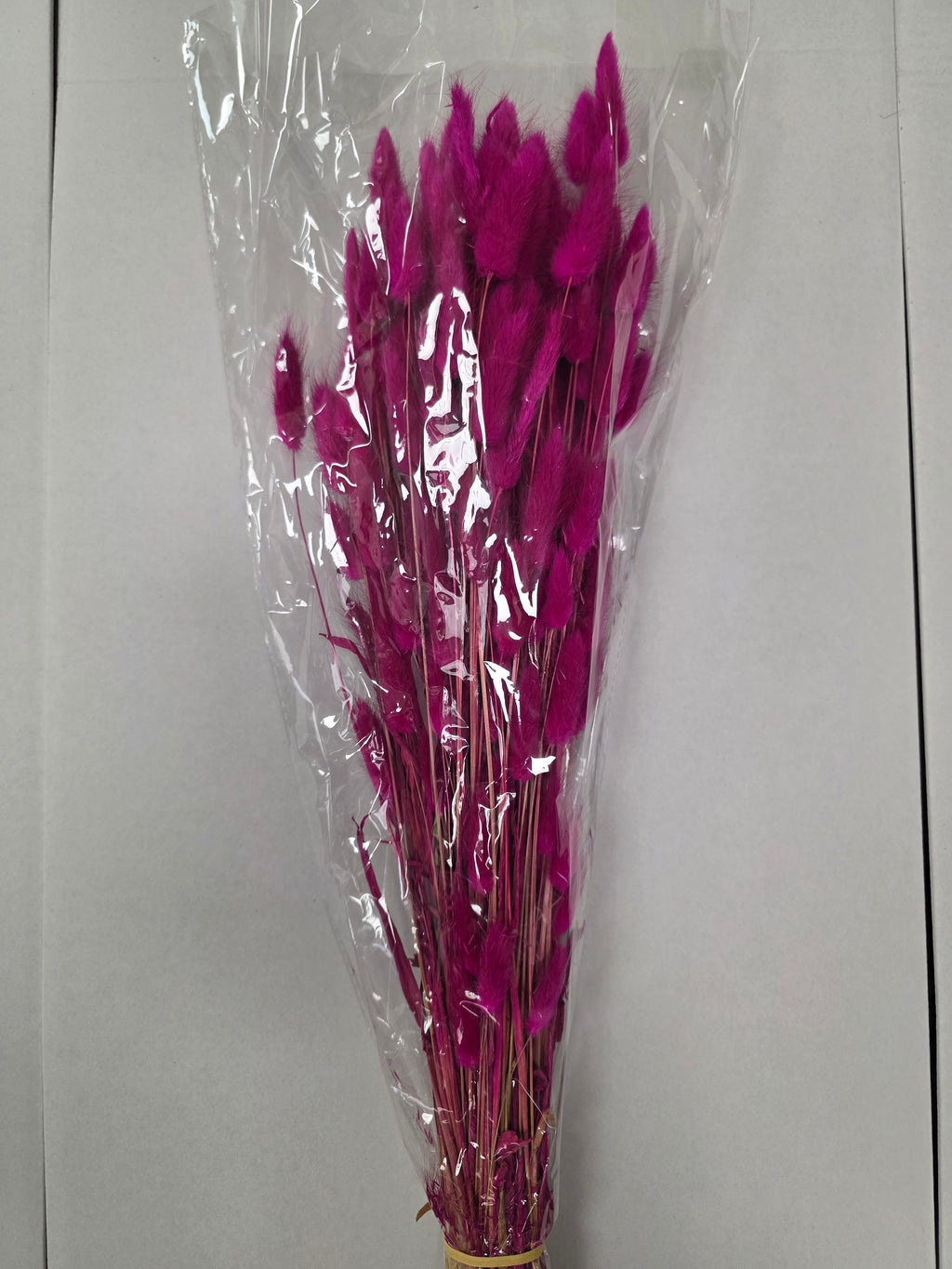 Dried Lagurus Fuxia (Bunch of 5 stems)