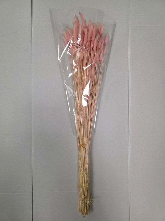 Dried Lagurus Light Pink
