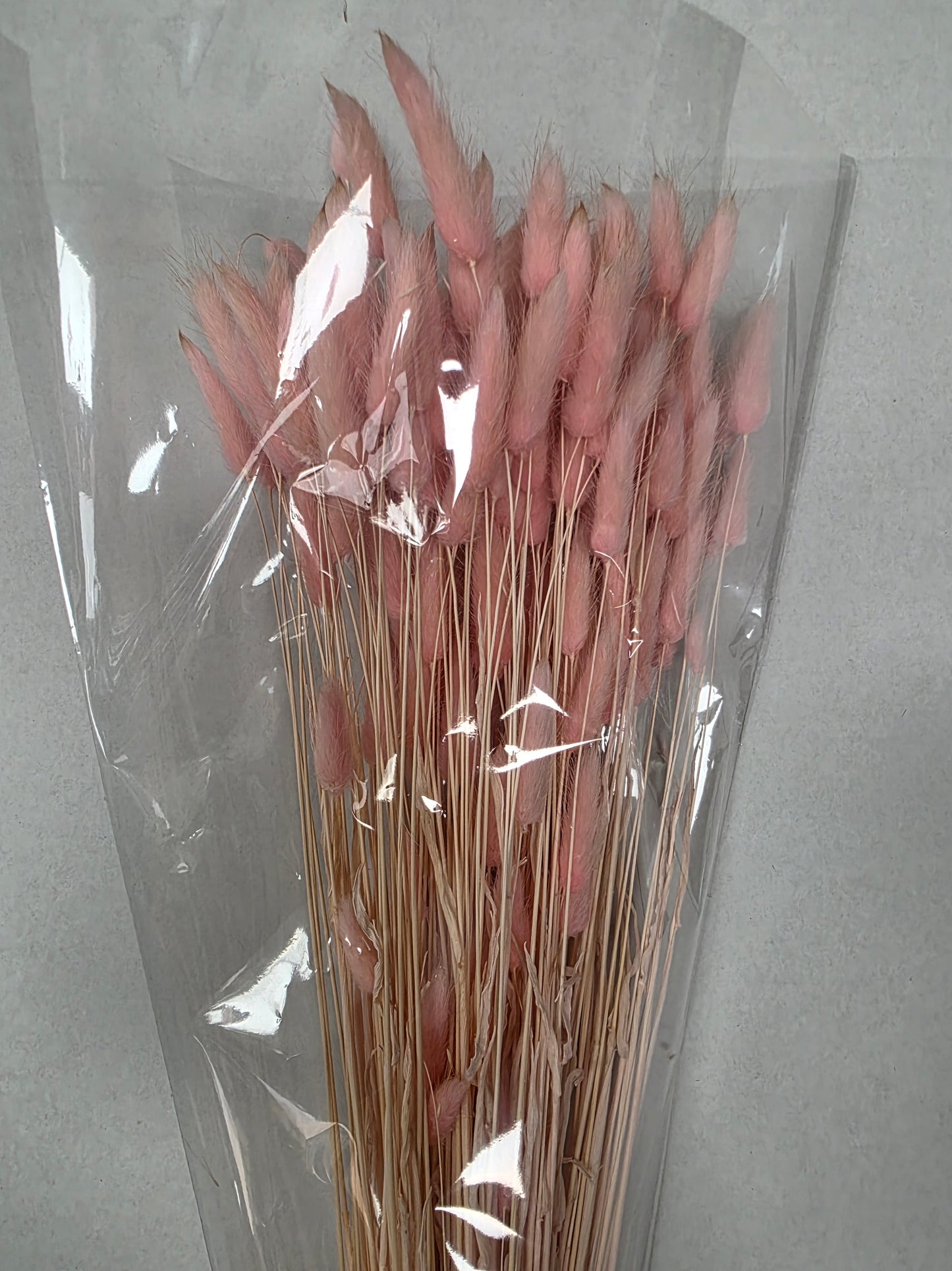Dried Lagurus Light Pink
