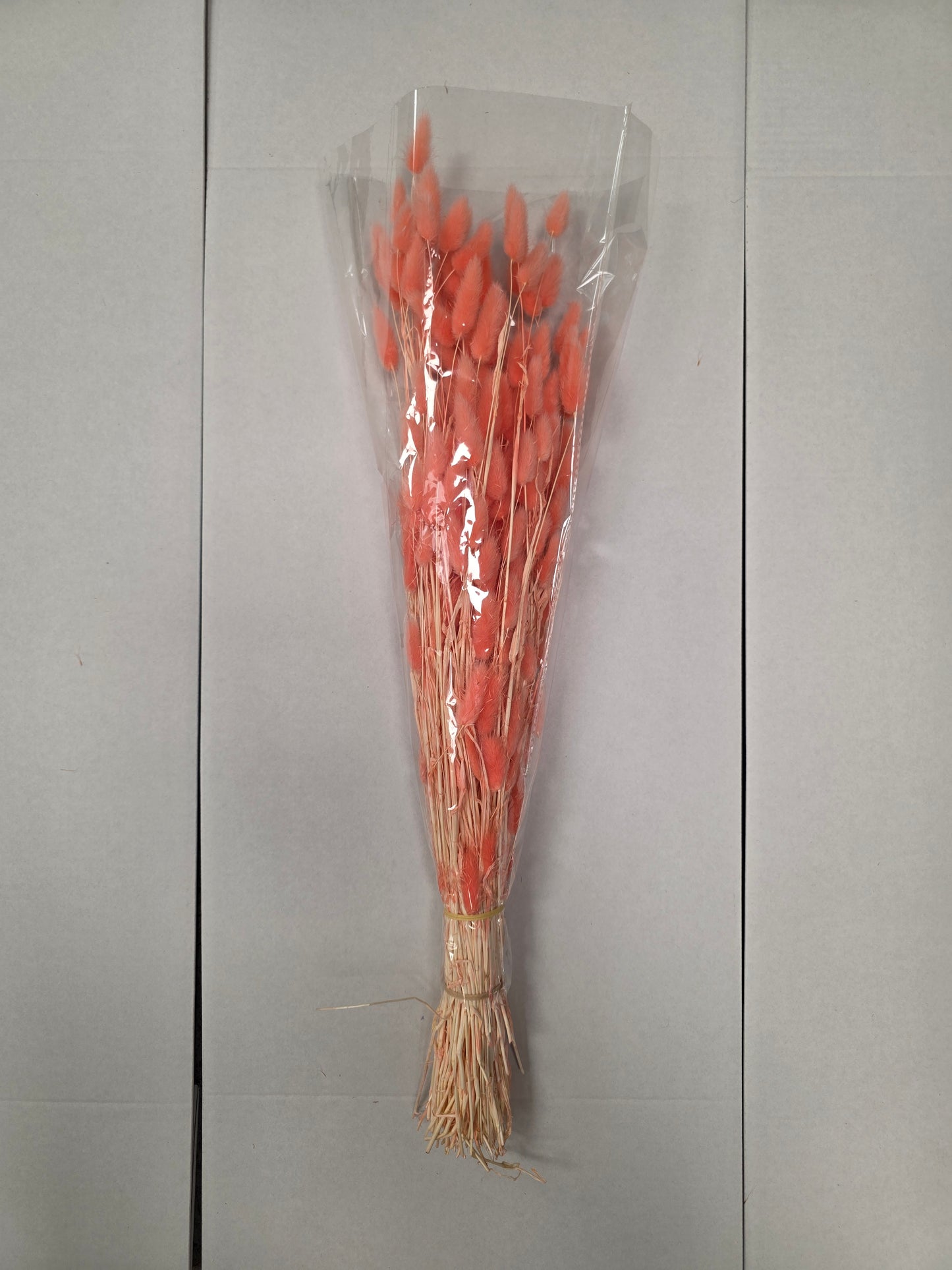 Dried Lagurus Peach