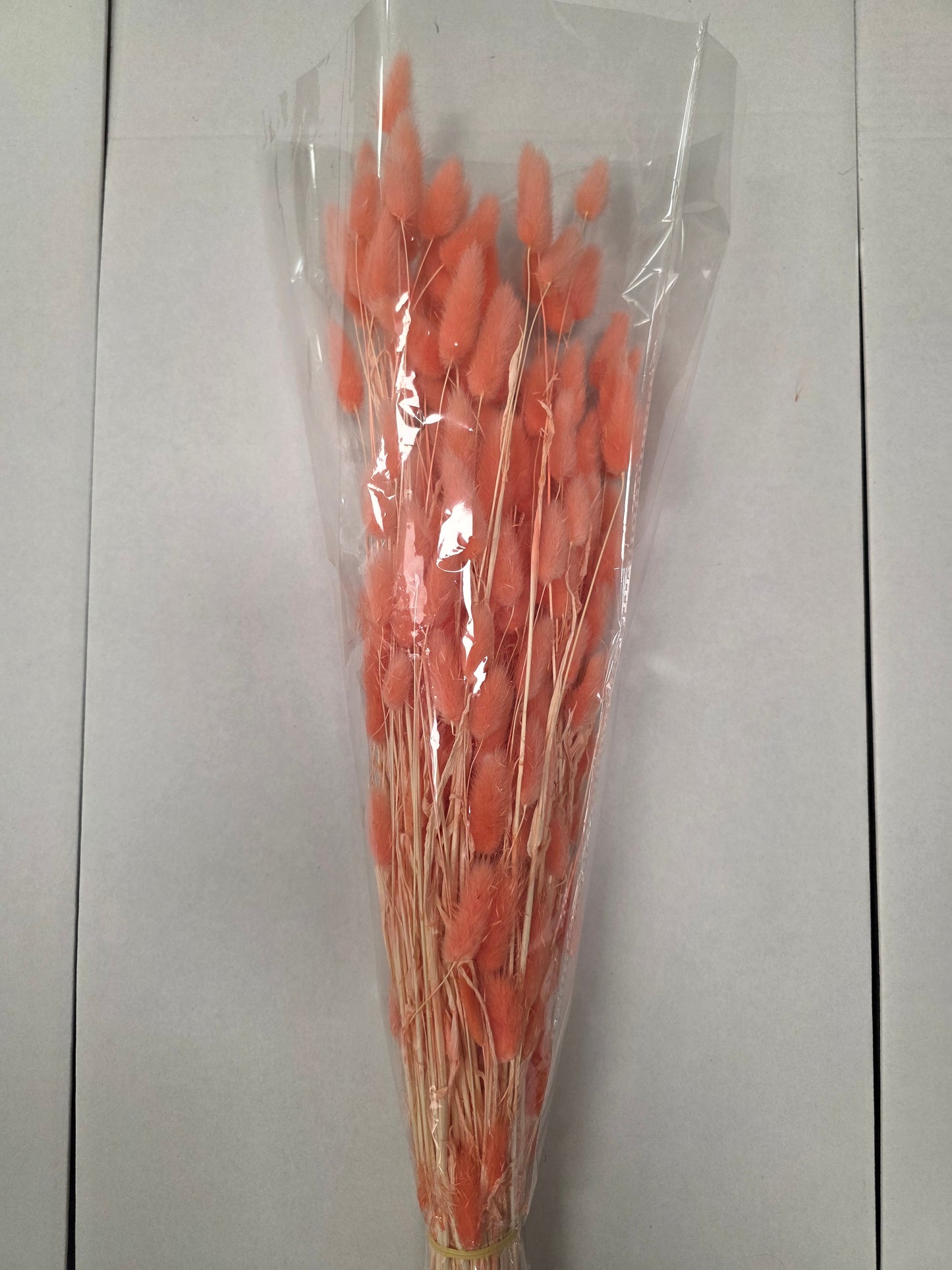 Dried Lagurus Peach