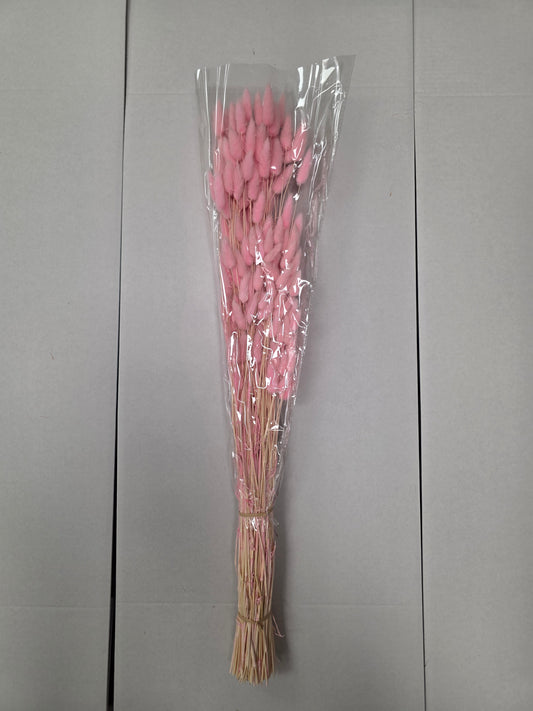Dried Lagurus Pink