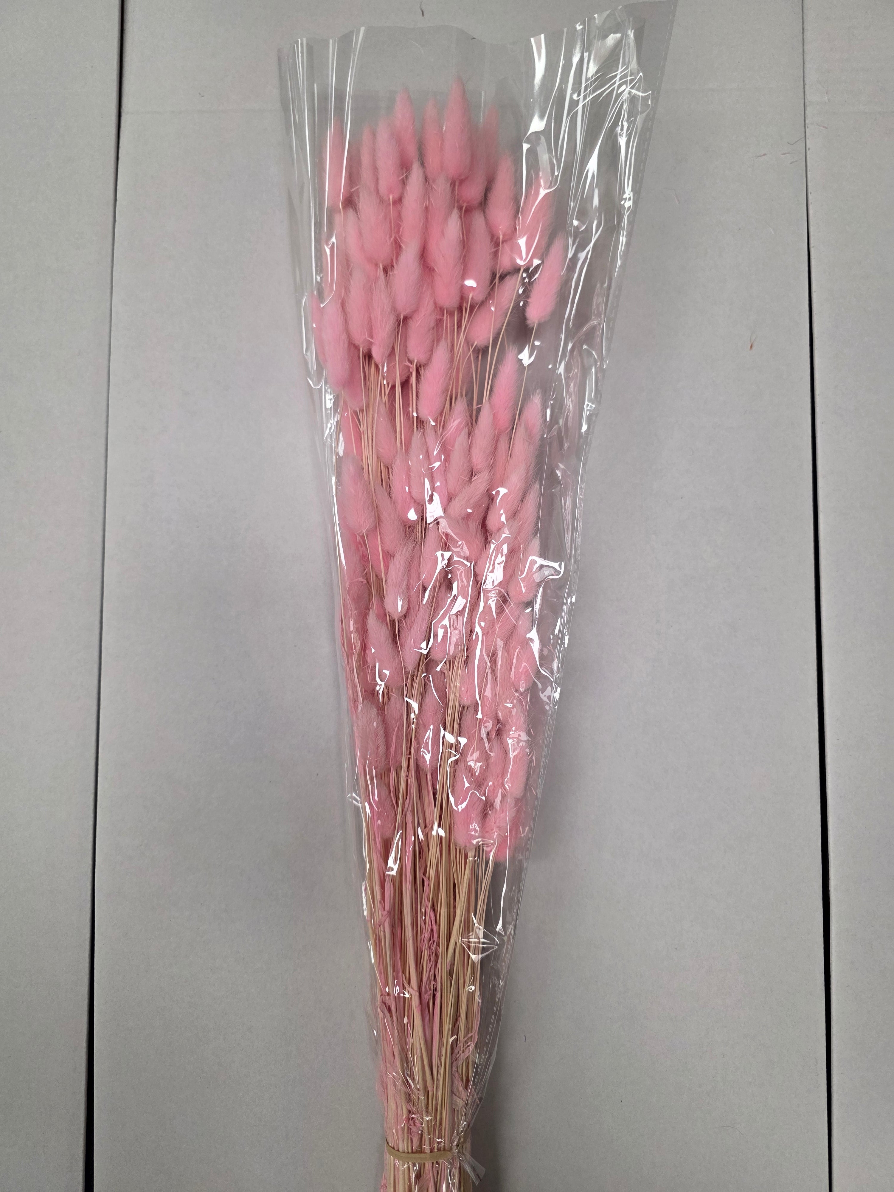 Dried Lagurus Light Pink