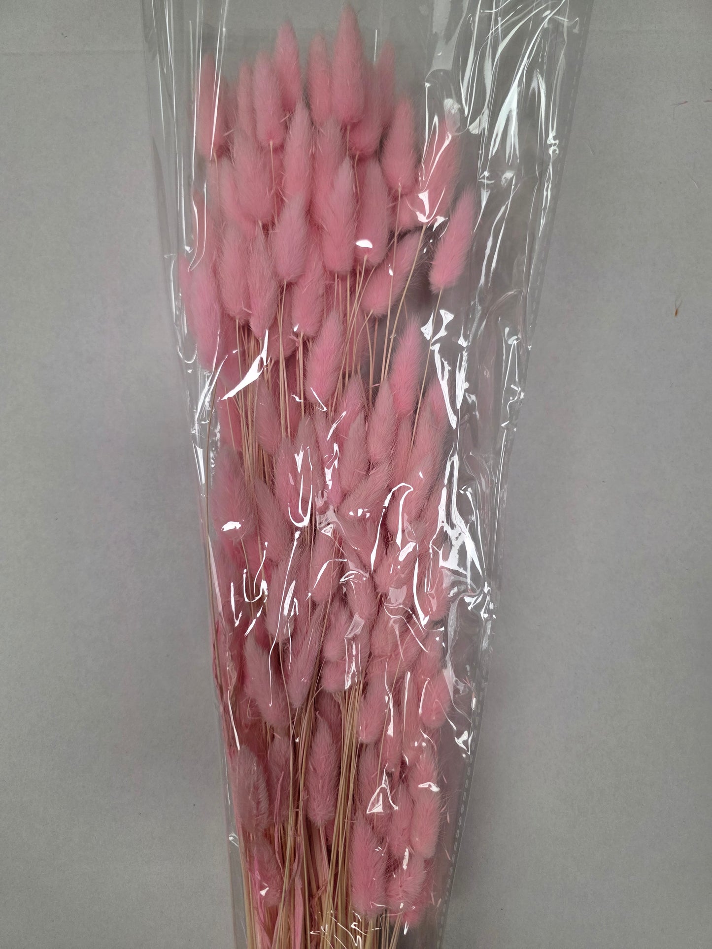 Dried Lagurus Pink