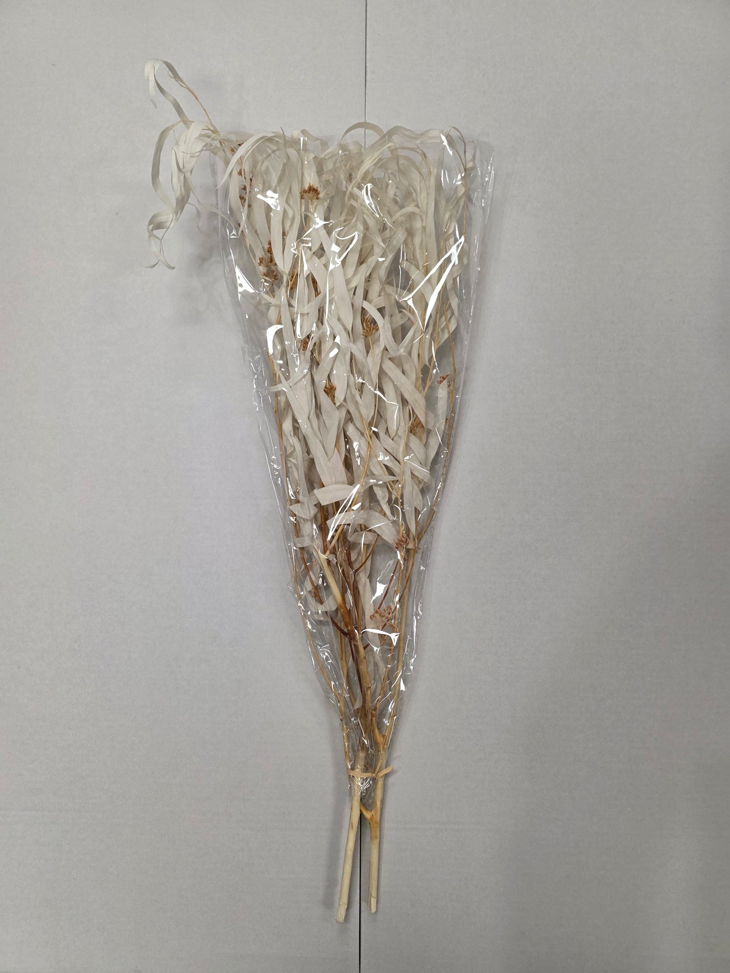 Dried Parvi Bleached