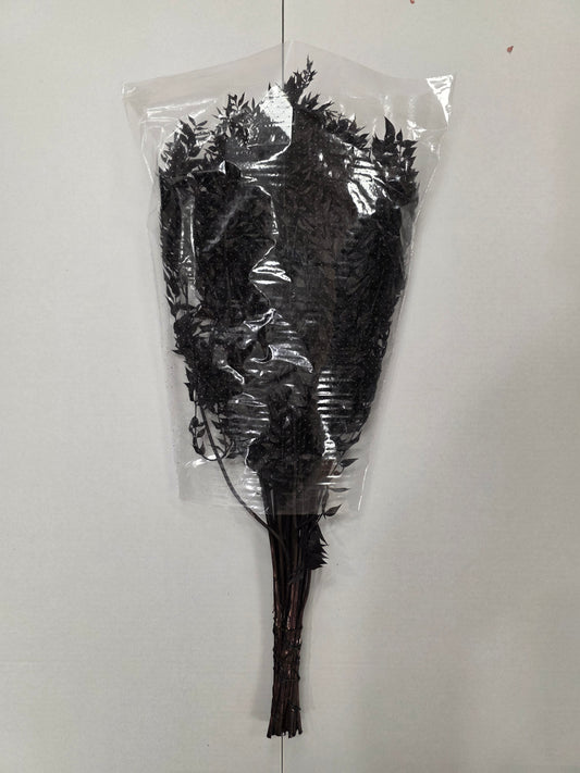 Dried Ruscus Black