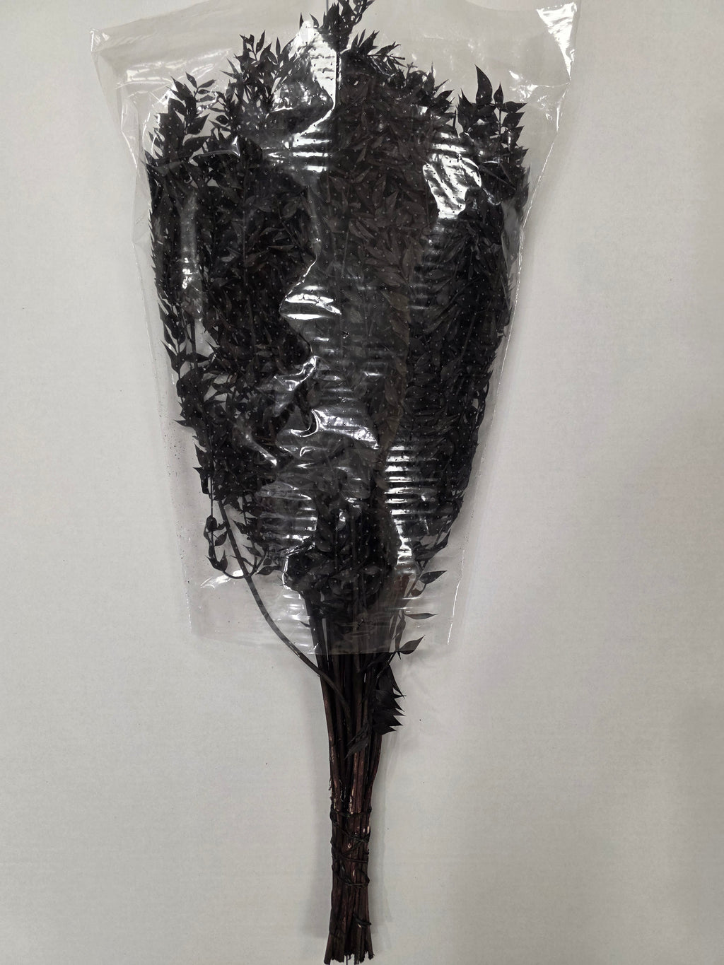 Dried Ruscus Black