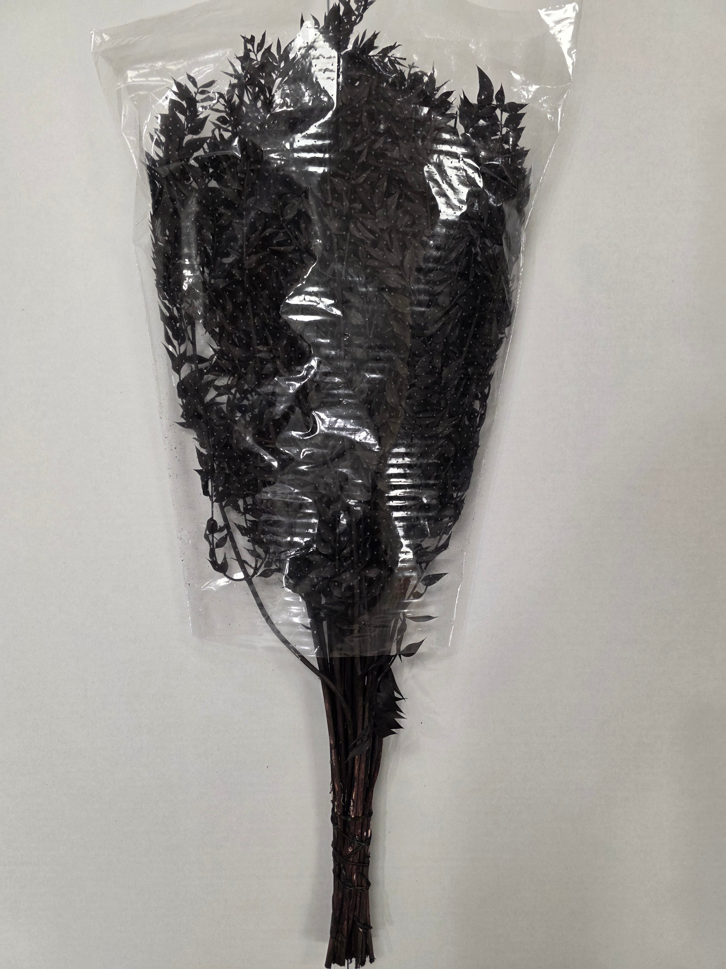 Dried Ruscus Black