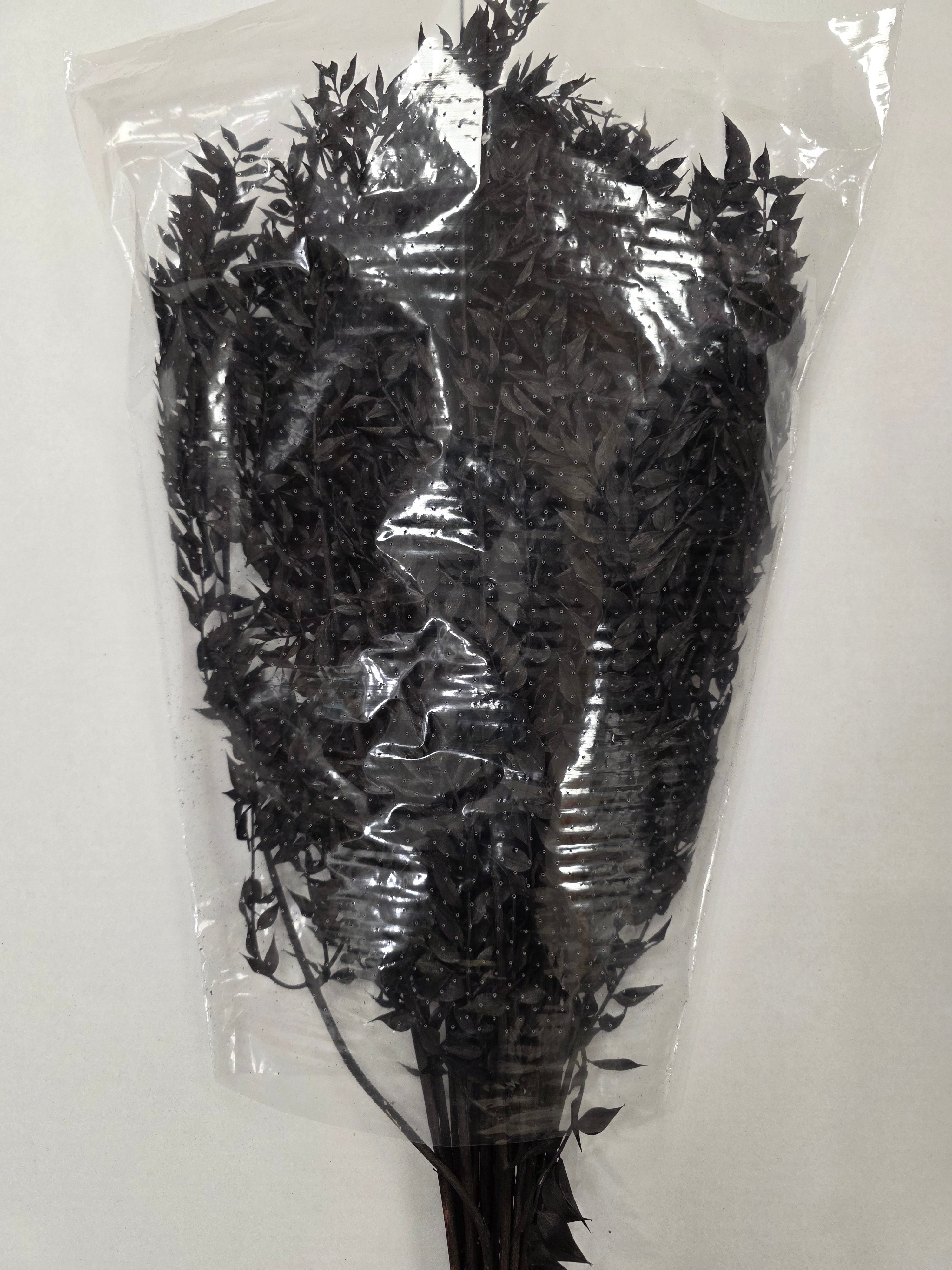 Dried Ruscus Black
