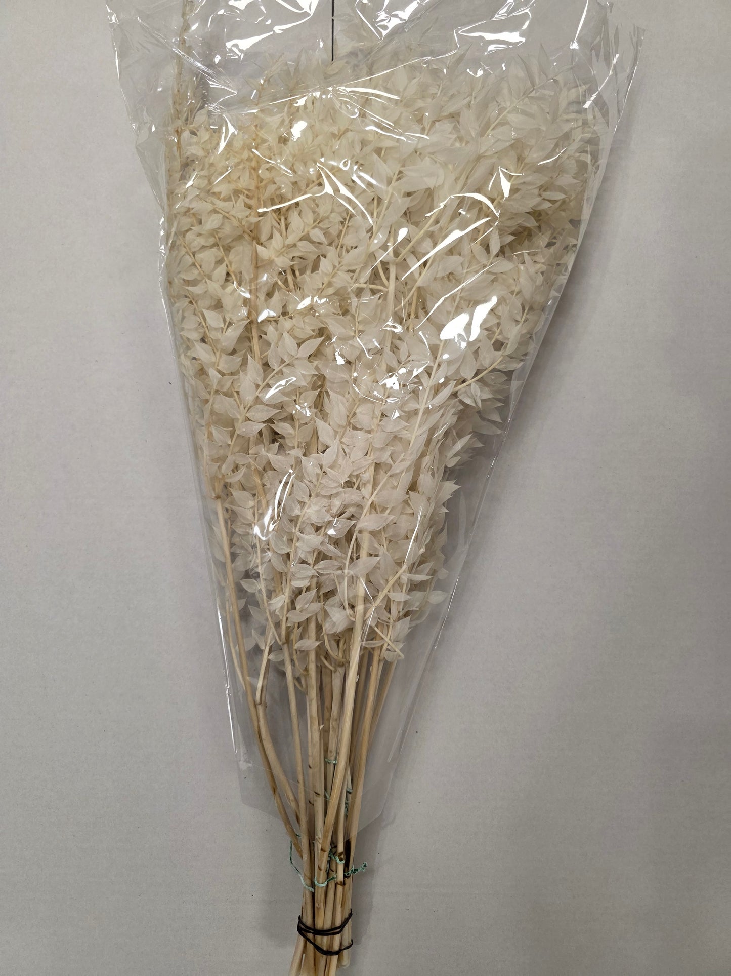 Dried Ruscus Bleached