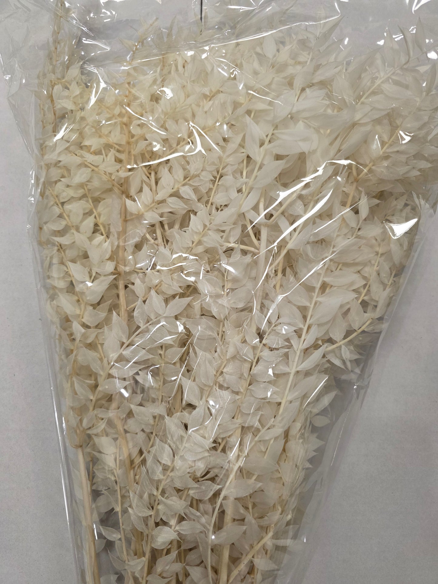 Dried Ruscus Bleached