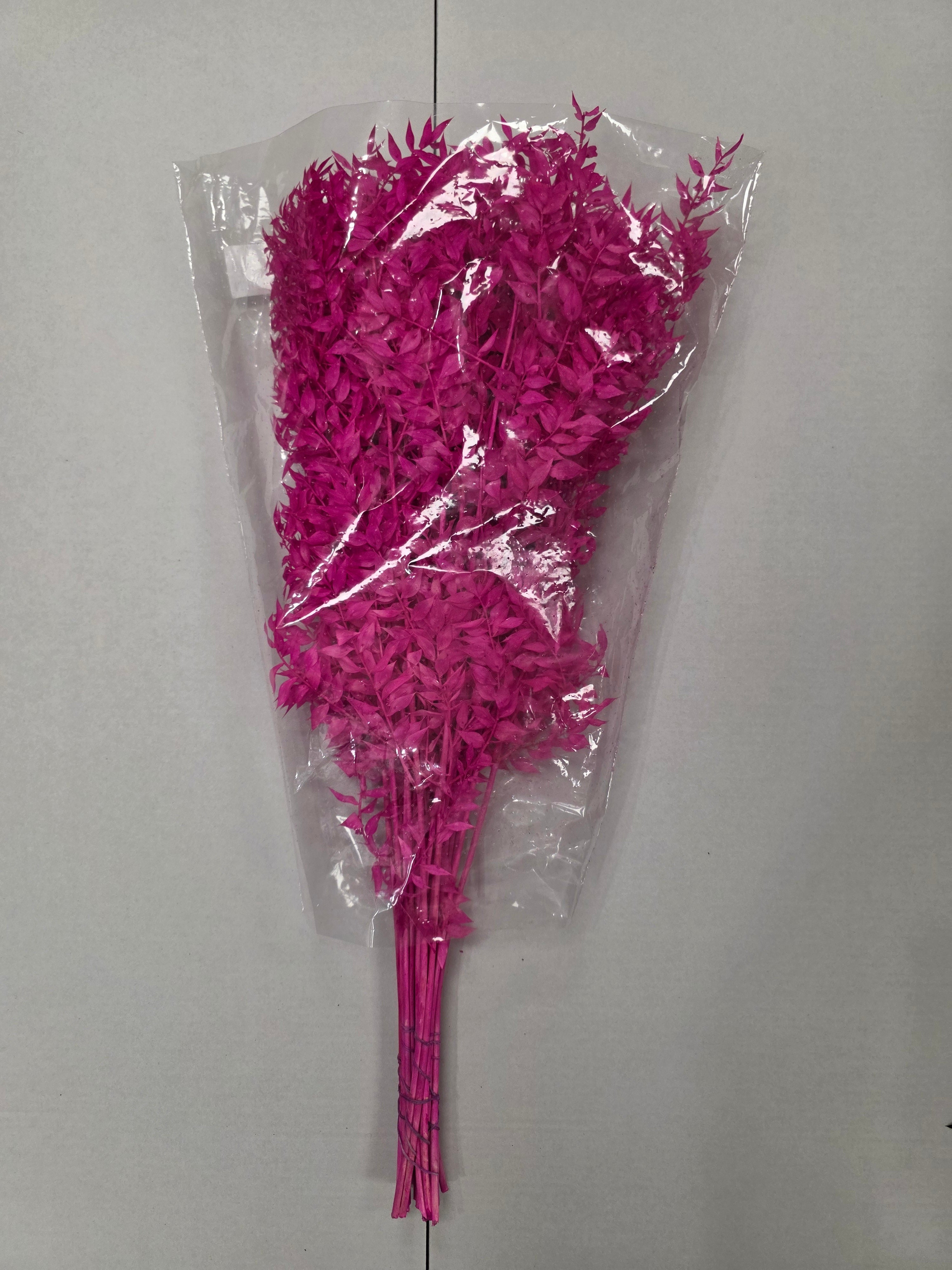 Dried Ruscus Fuxia