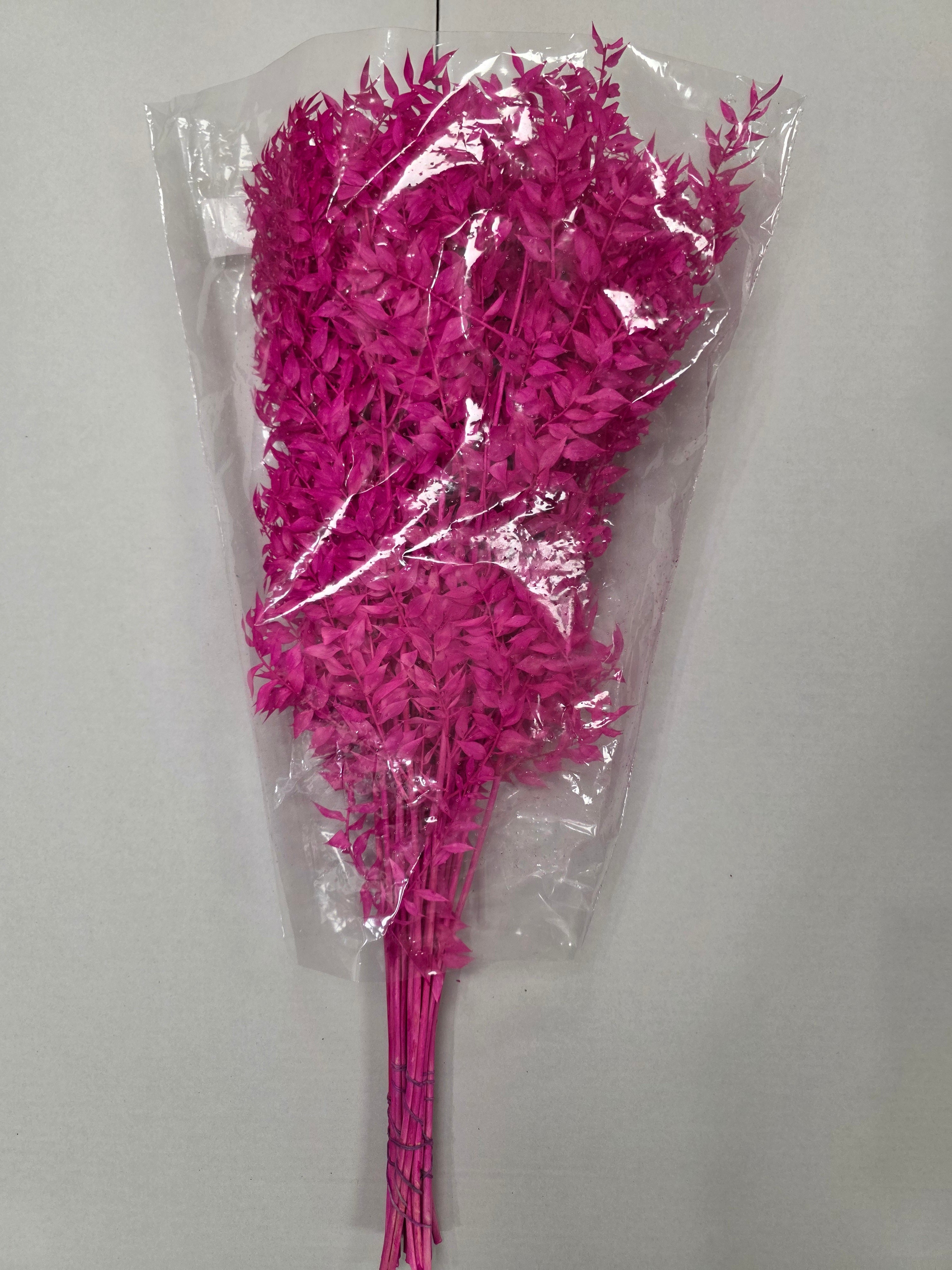Dried Ruscus Fuxia